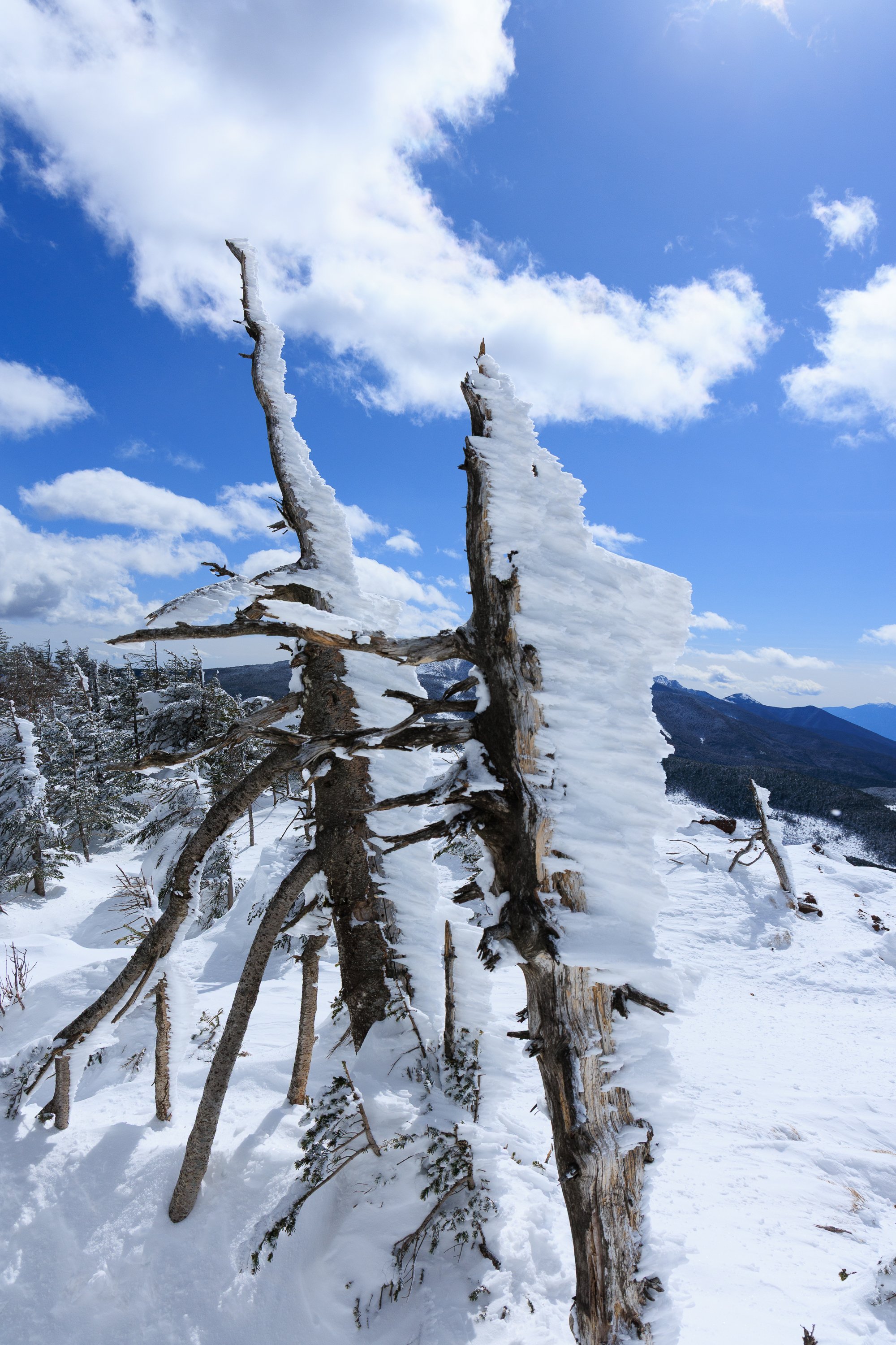 冬の北八ヶ岳、白銀のスノーハイク｜yamadagawa
