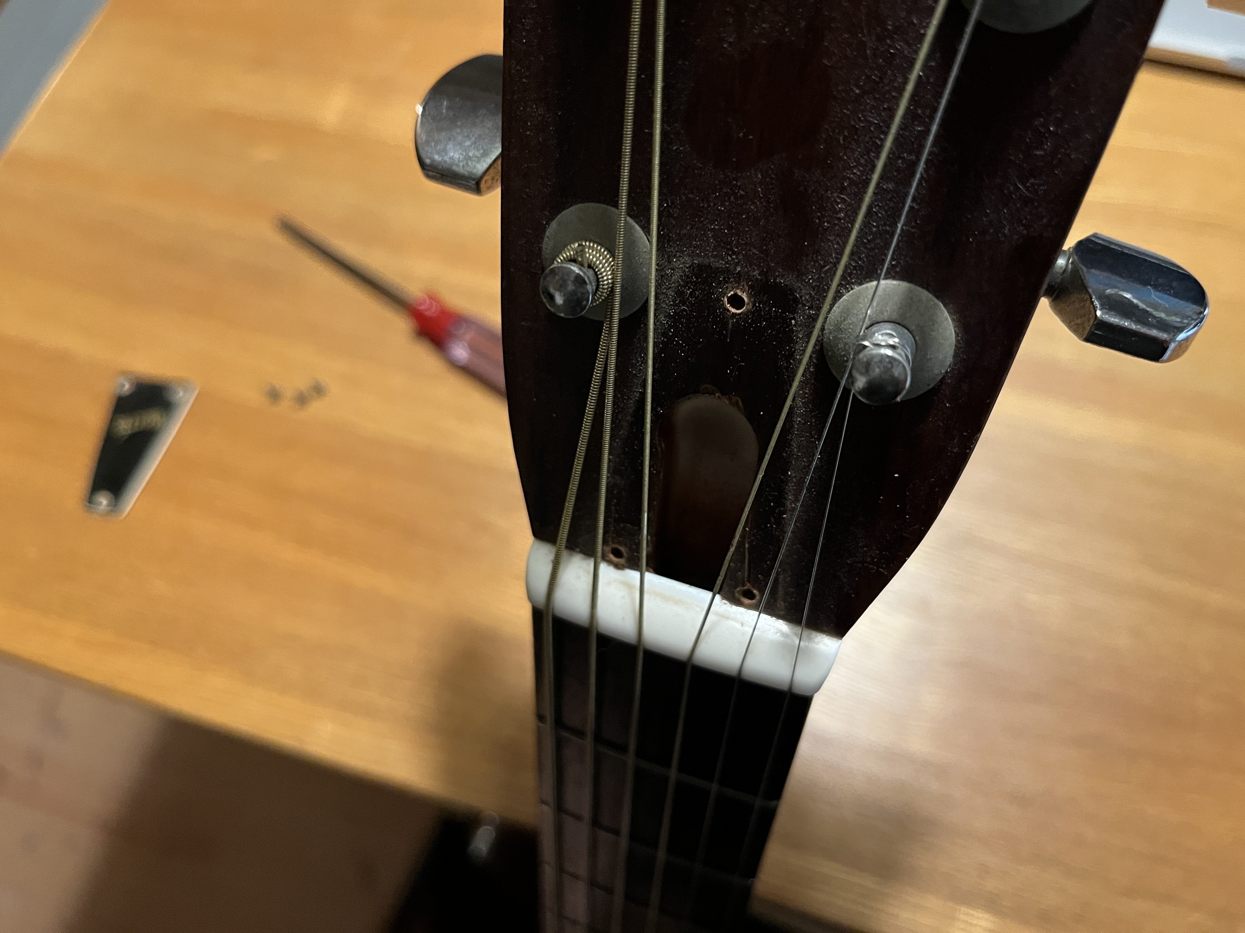 MORRIS M-001 TS 調整済 Morrisで遊ぶ！スロテッドヘッド＆ネックリセット | レフティ