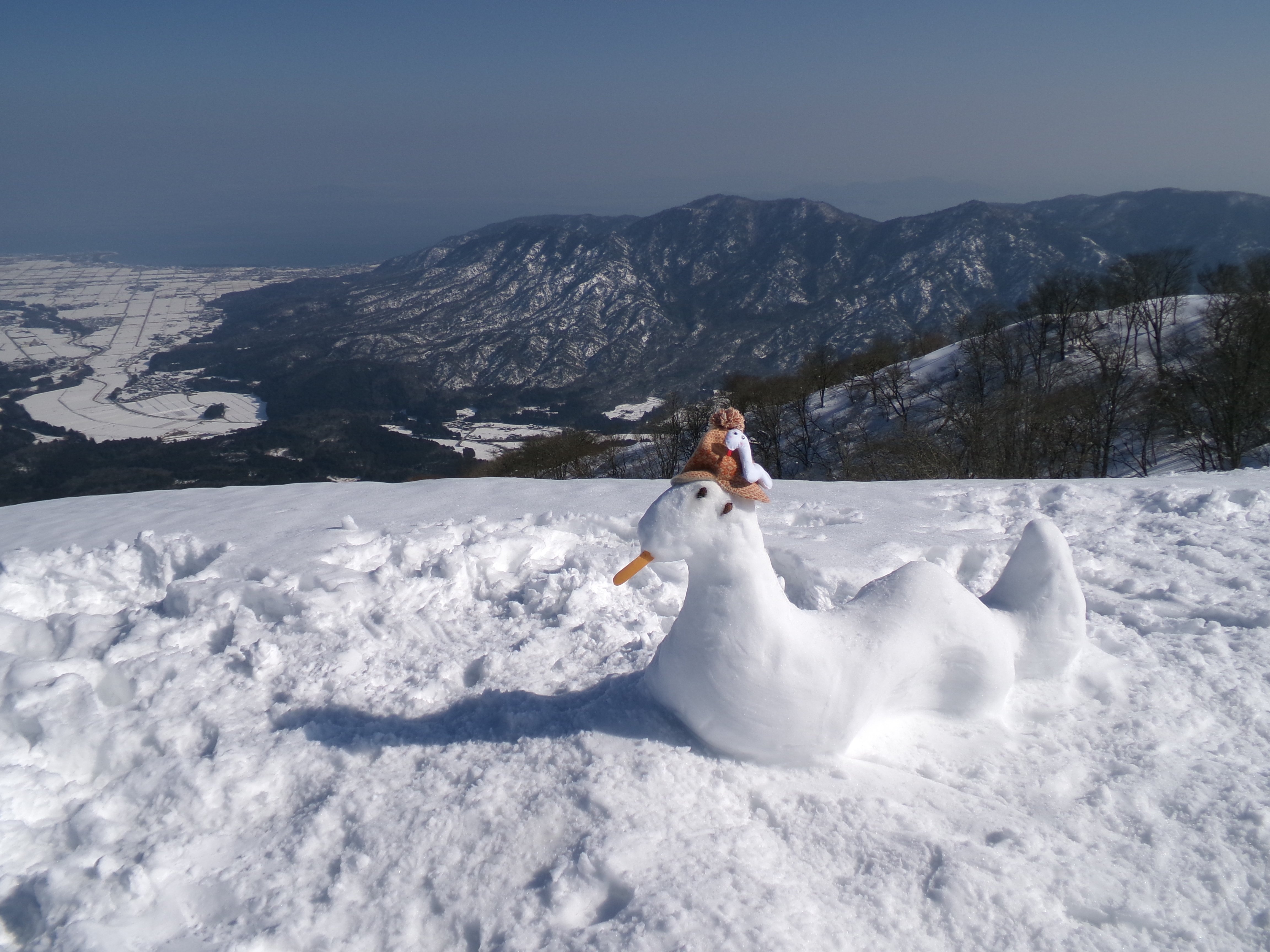 白蛇3匹を眺めながら蛇谷ヶ峰の山頂周遊 スノーシューで雪庇の上を