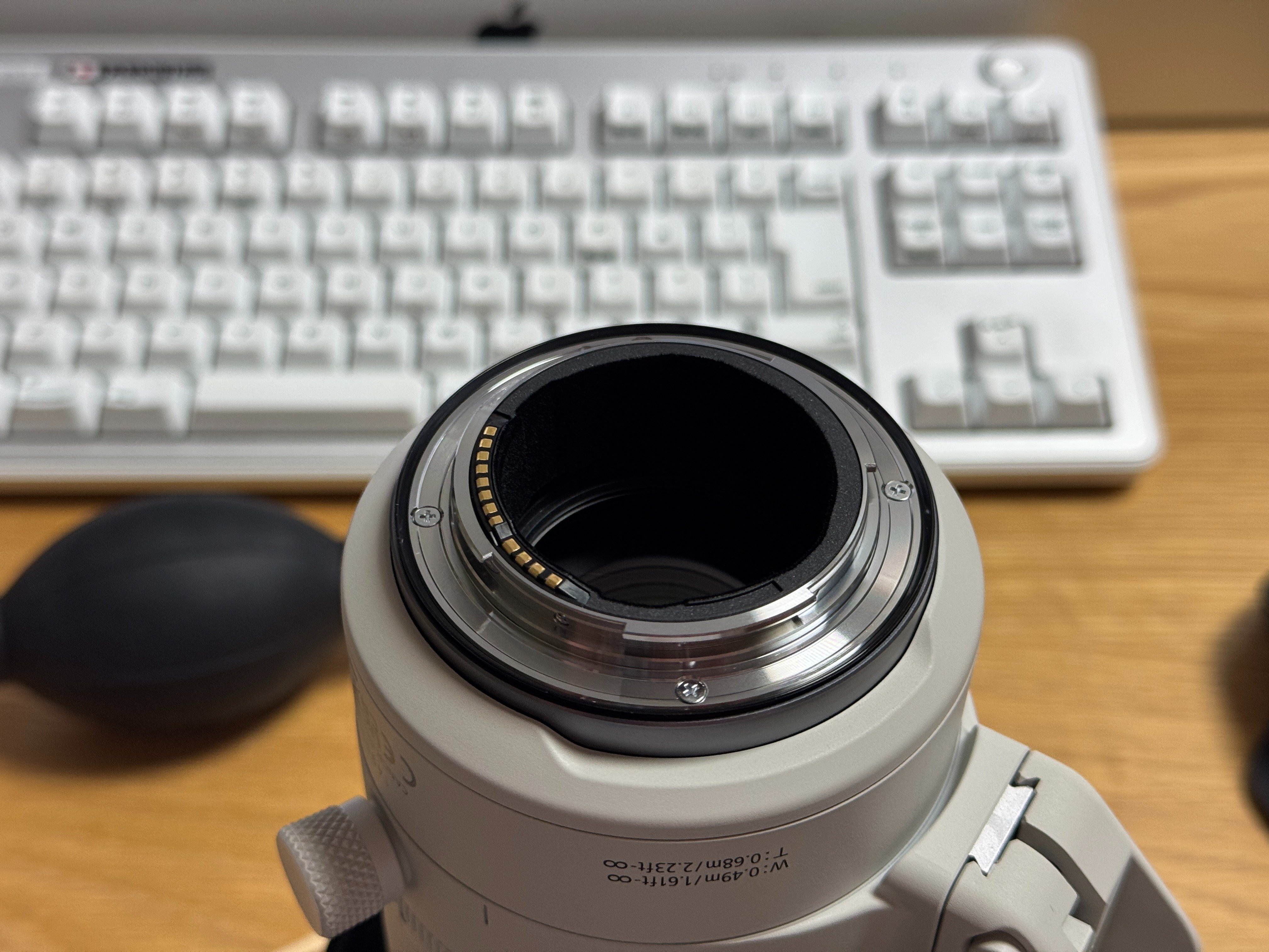 RF70-200mm F2.8 L IS USM Z|タカシ RF70-200mm F2.8 L IS USM Z|タカシ