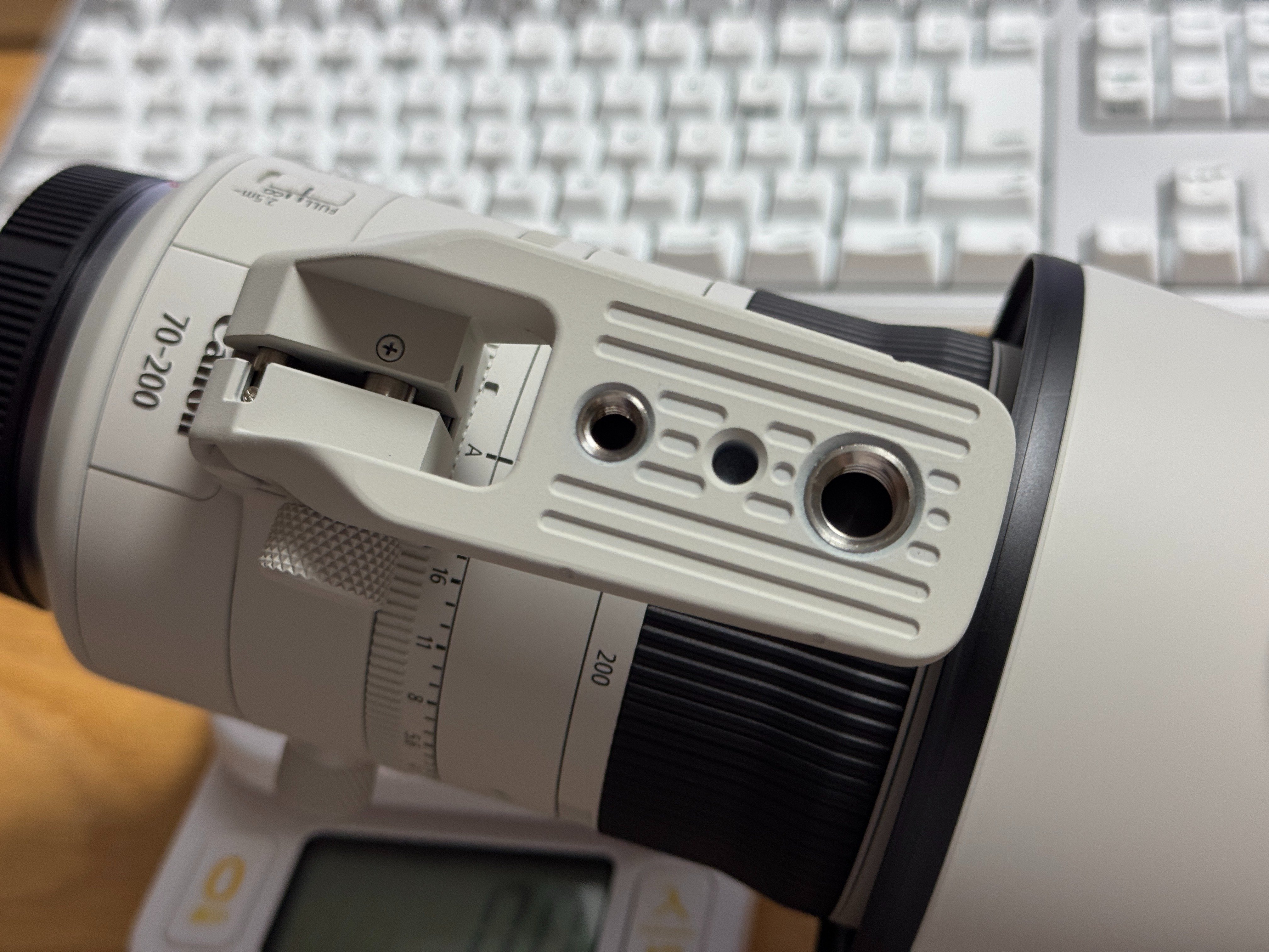 RF70-200mm F2.8 L IS USM Z|タカシ RF70-200mm F2.8 L IS USM Z|タカシ