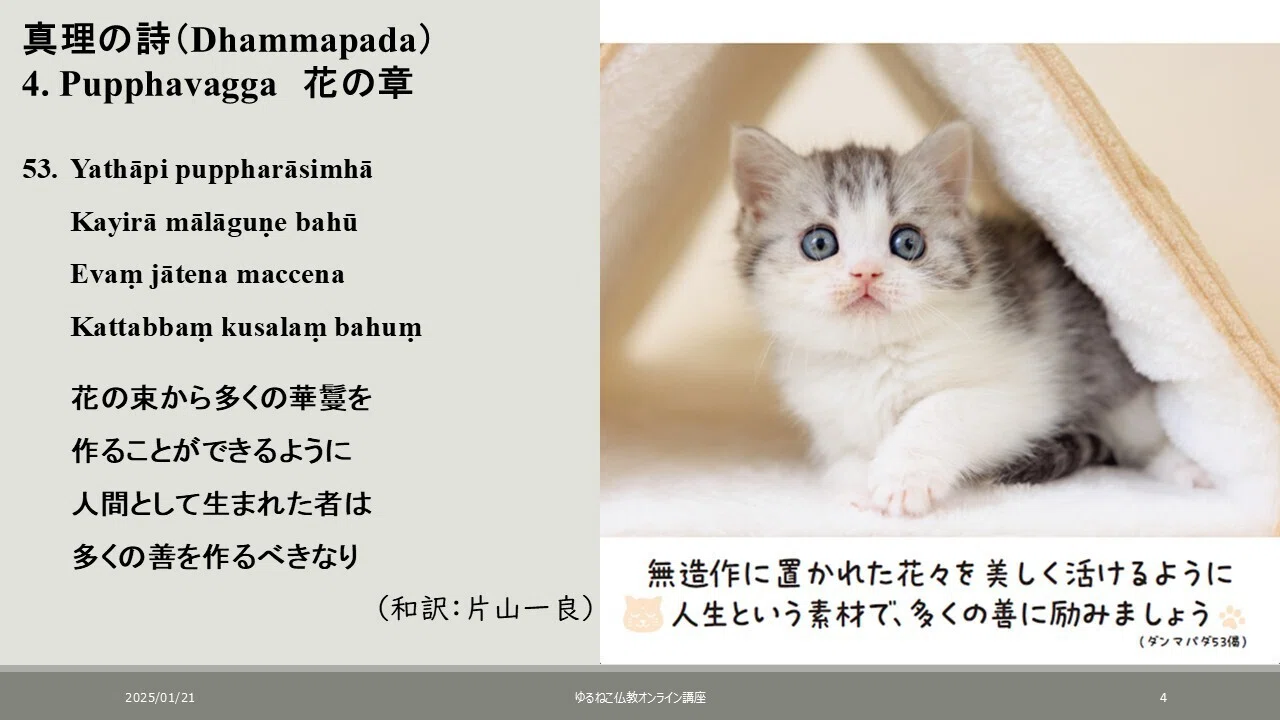 輪廻のカラクリを見抜く者｜ダンマパダ「花の章」をぜんぶ読む1｜佐藤