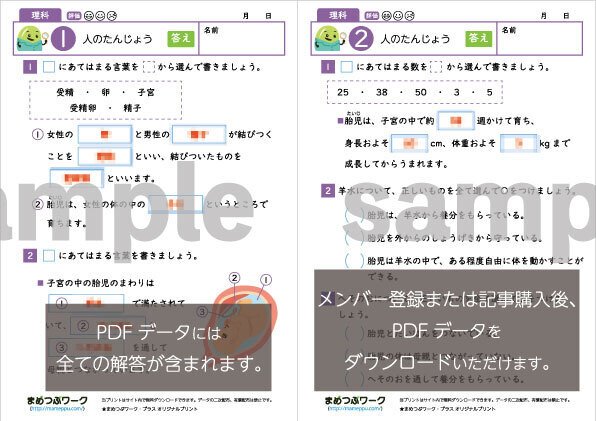 小学5年 理科 記憶の535