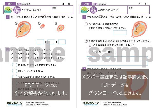 プリント&答え「小5・理科│人のたんじょう」2025年2月28日公開
