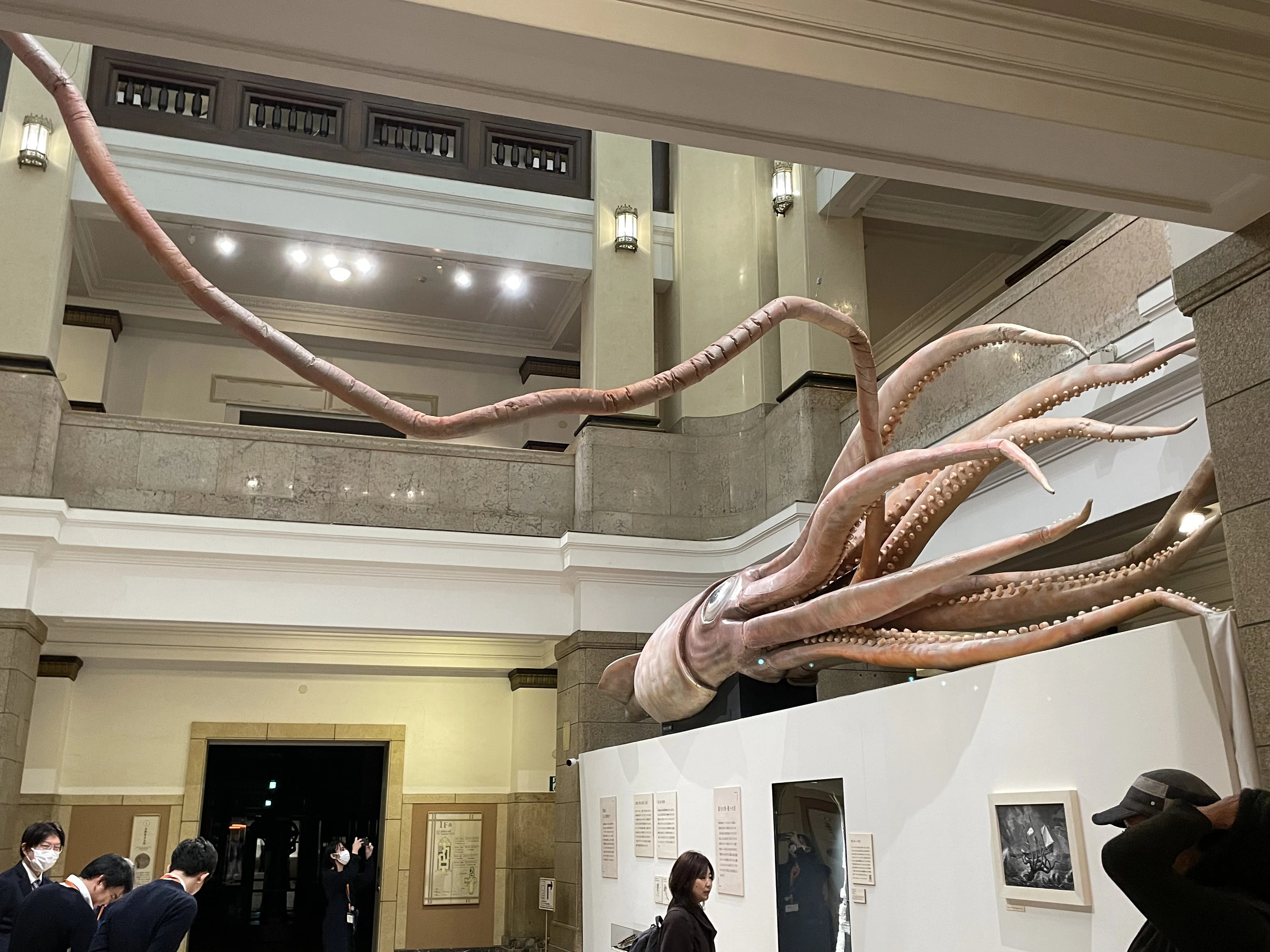 貝に魅せられた人たちによる小さな企画展『貝類展』…上野・国立科学