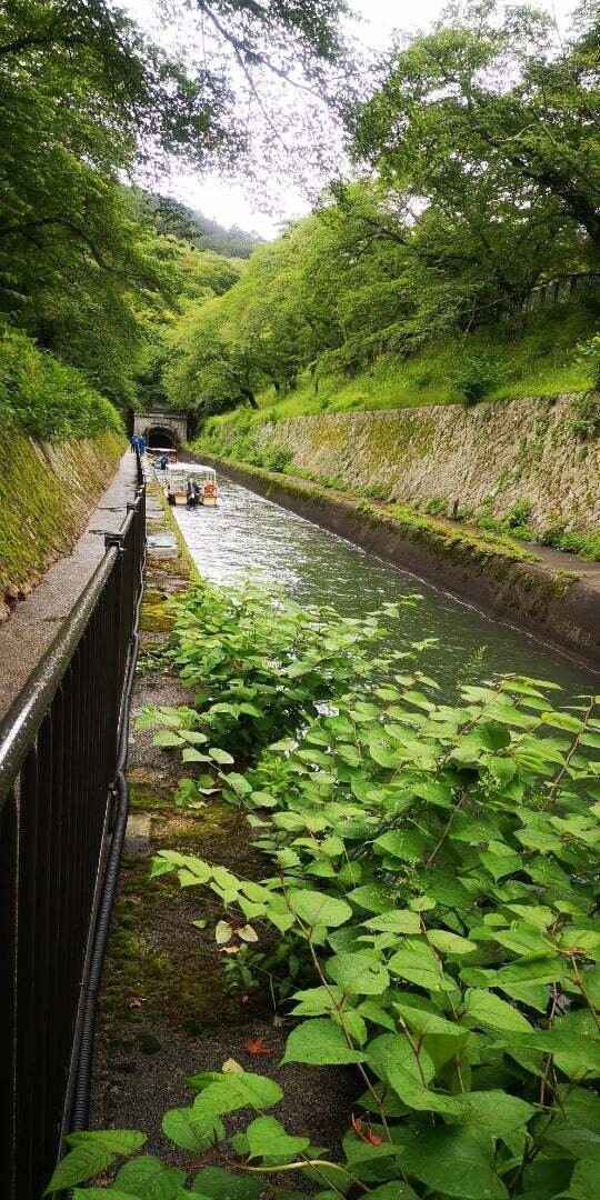 琵琶湖さん様 びわ湖疏水船の旅】トムクルーズが行く｜旅空海美