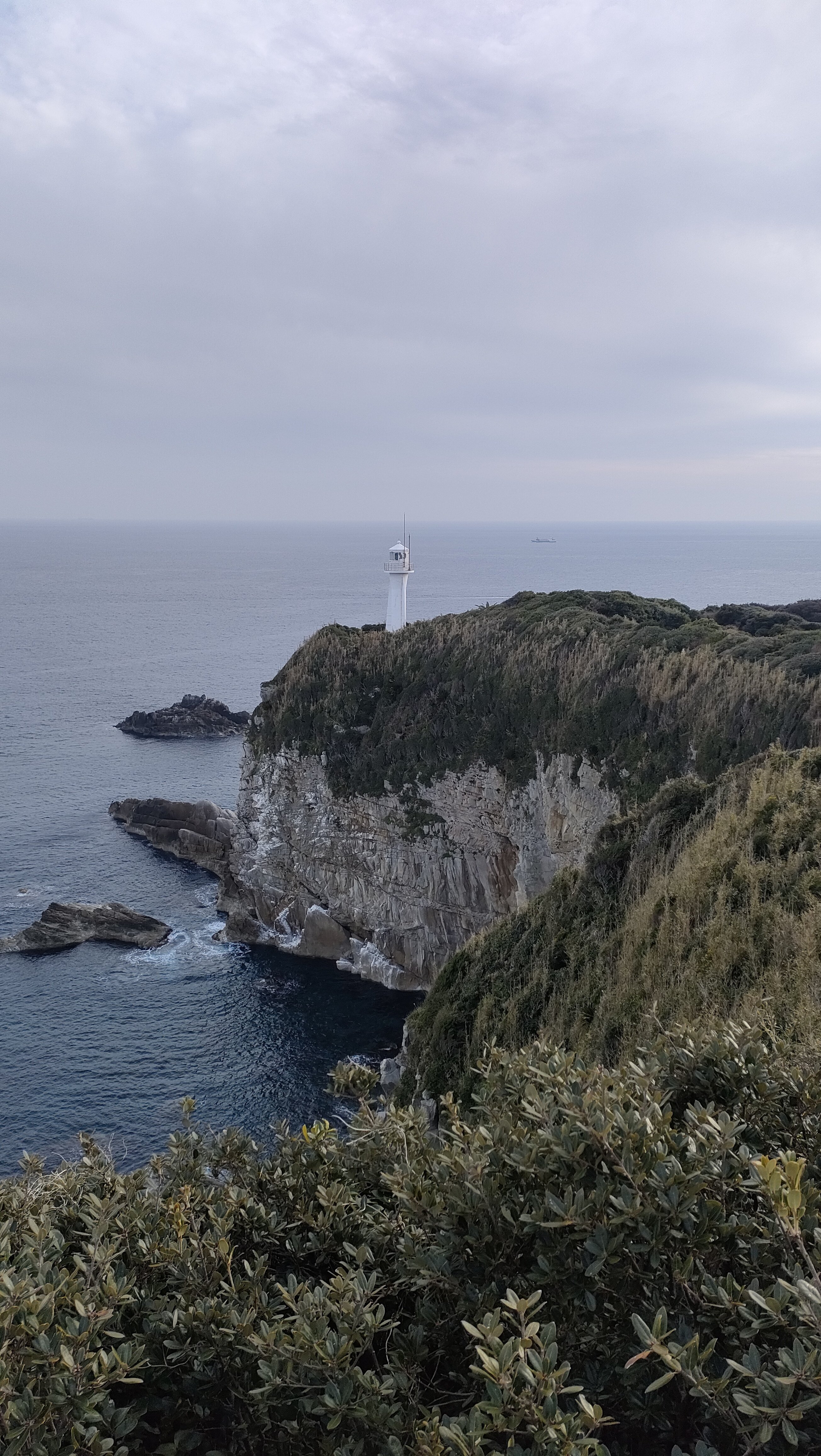 土佐清水は最高でした｜けいなわ・京阪奈