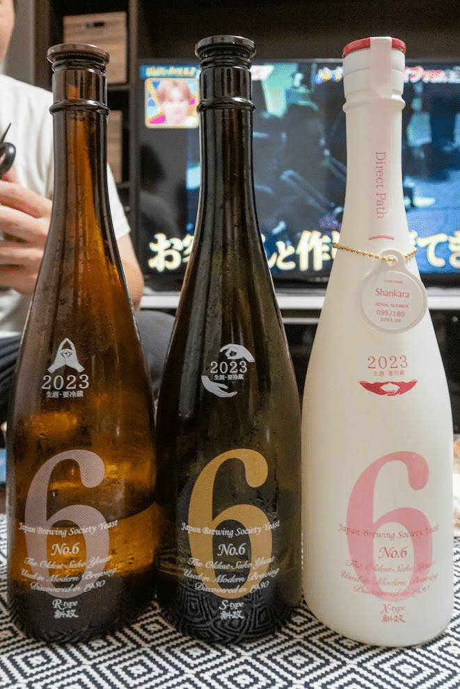 新政No.6 S-type ダイレクトパス出荷年月2024.9