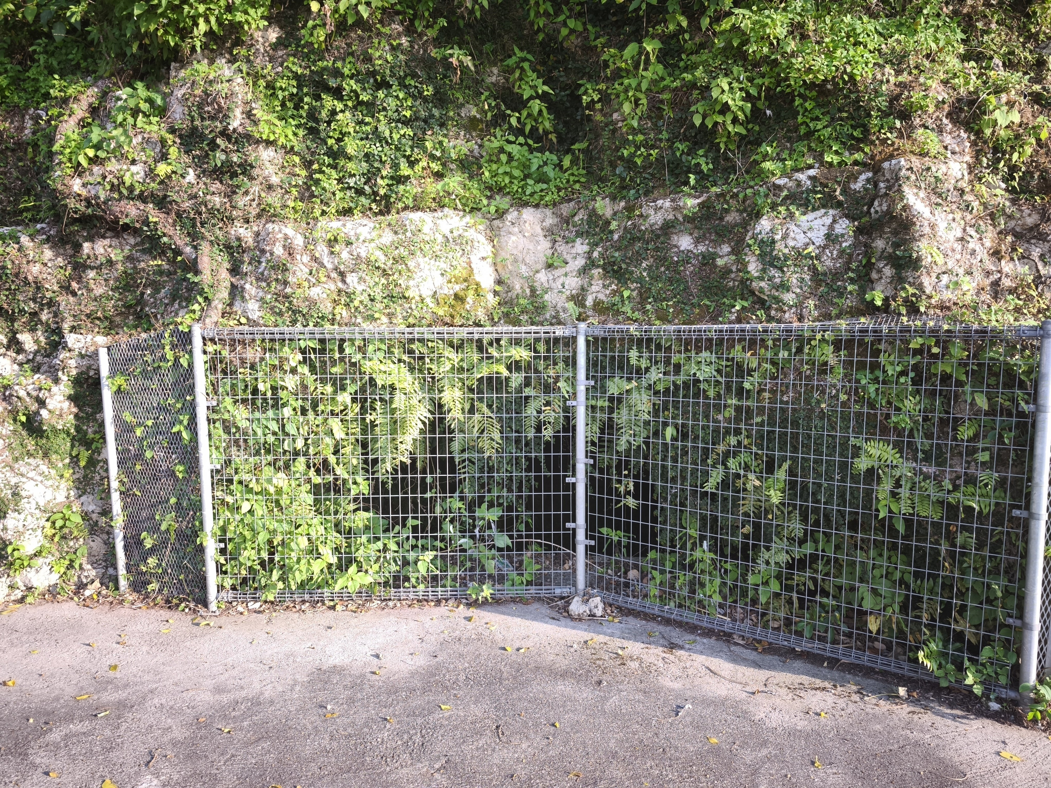 八条遺跡 八條遺跡（八潮市） ｜ただいま発掘中！｜ 埼玉県埋蔵文化財調査