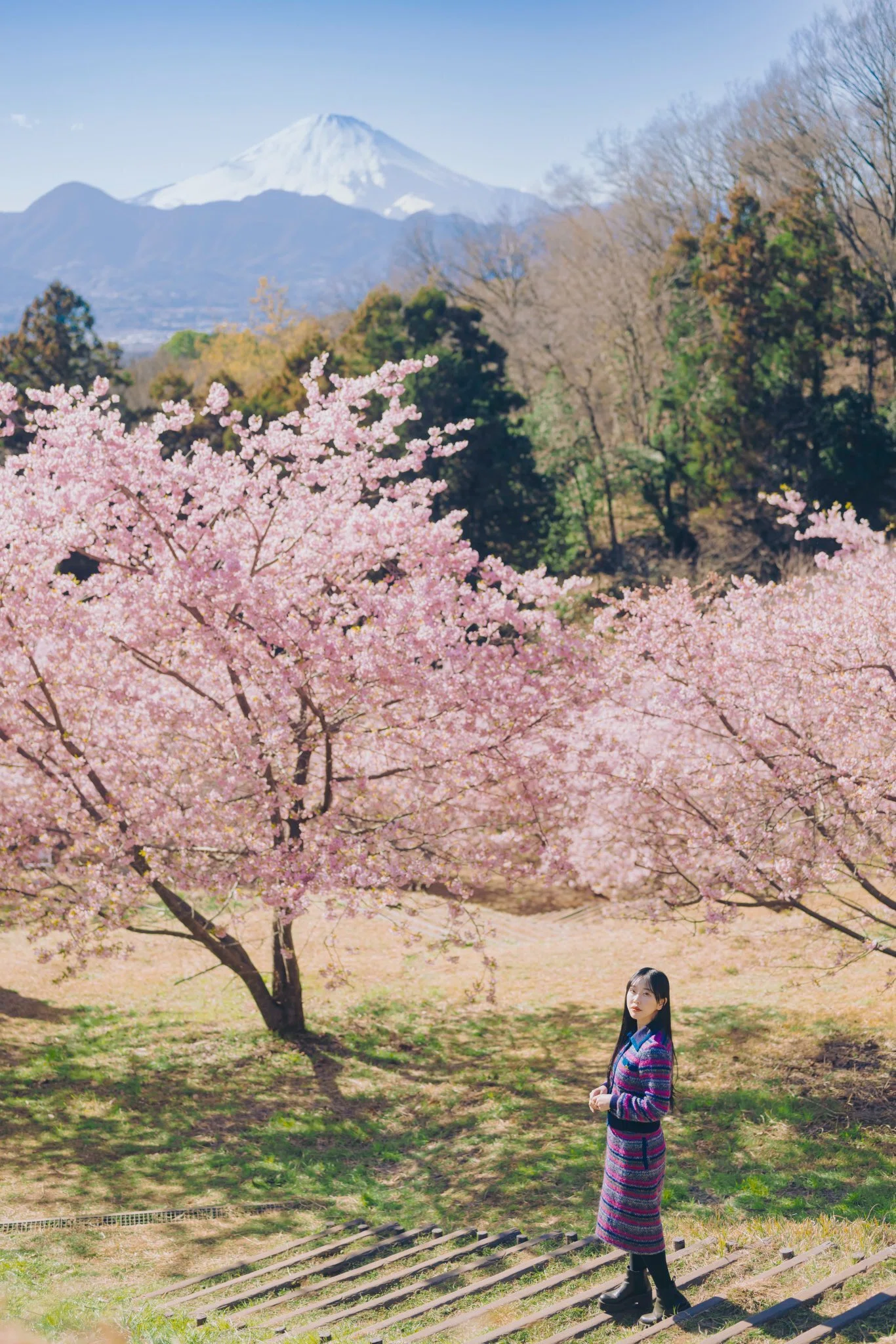 桜ポートレートの撮影スポット＆桜撮影成功のコツ｜山中夏歩