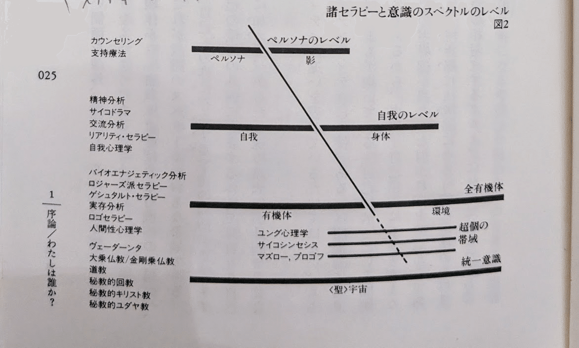 意識のスペクトル 1.2    ２冊セット　ケン・ウィルバー 2冊セット 意識のスペクトル 1 2 意識の進化 意識の深化 ケン