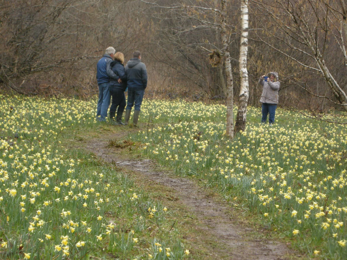 キングス・リンの公園で野生の花の草地造成、ボランティアらが植樹作業を実施
