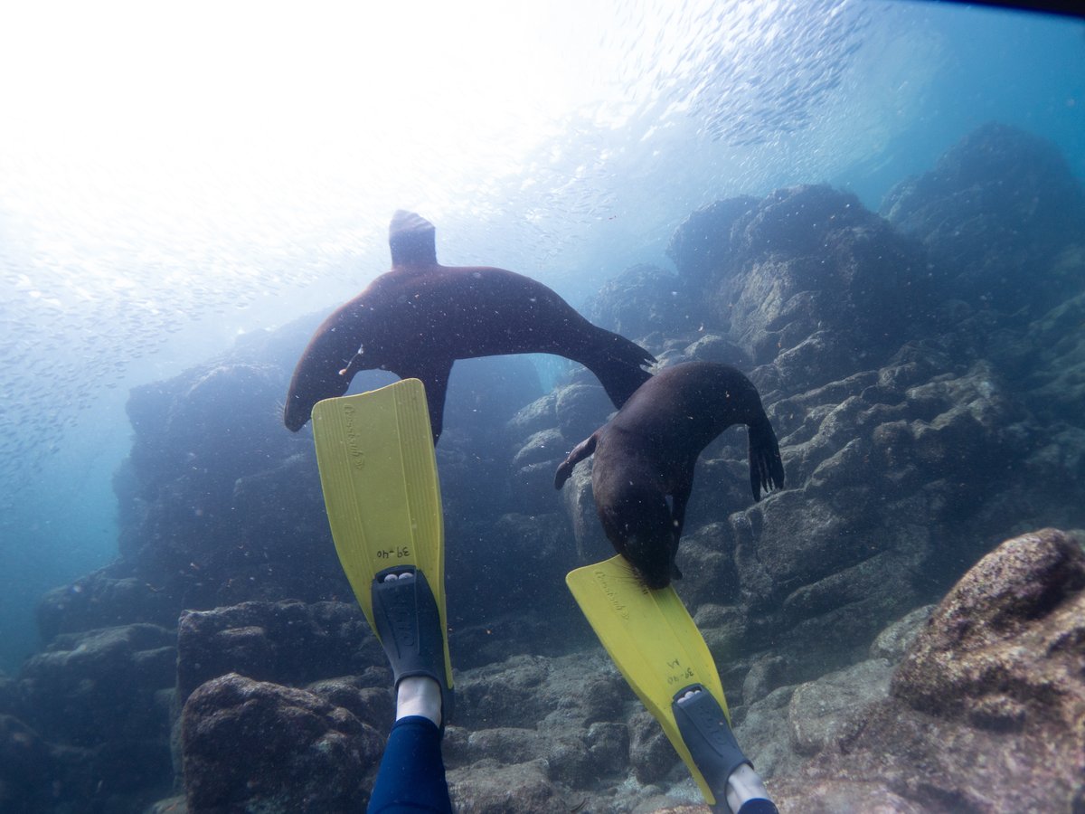 旅の記録:ラパス\u0026セノーテ①｜すきなときにおきたい💉💤, image size:1200x900