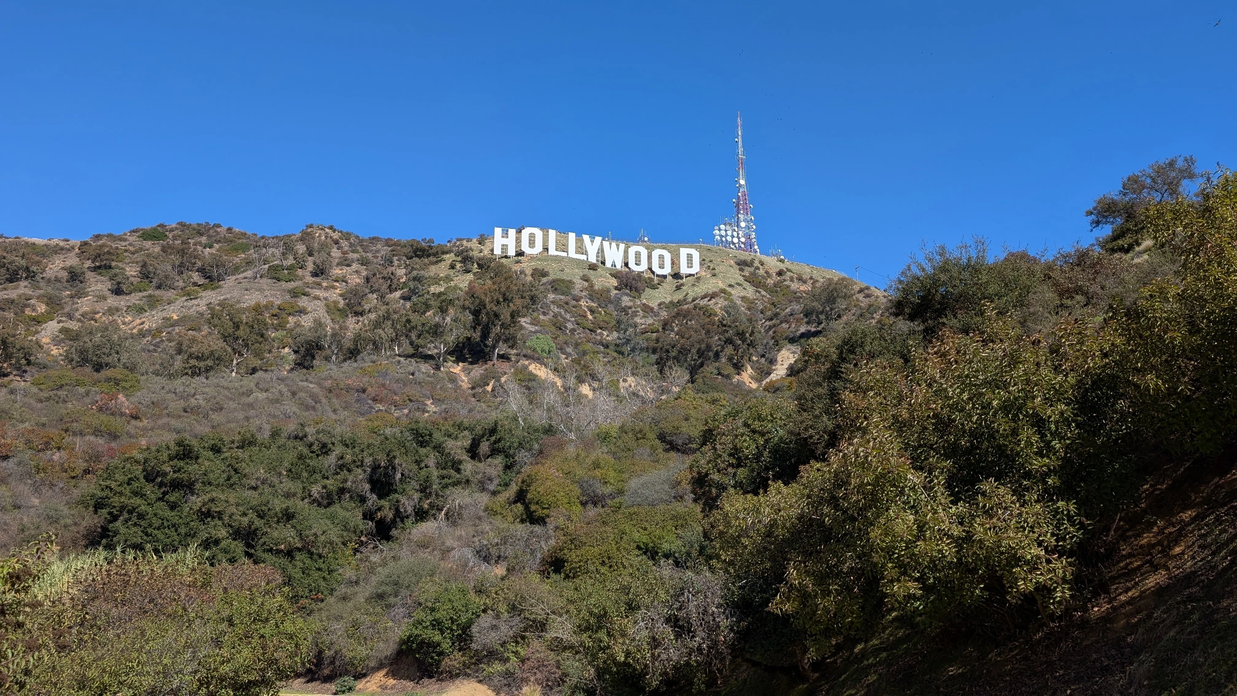 アメリカ西海岸最大の都市 ロサンゼルスを観光してきた｜tabirow