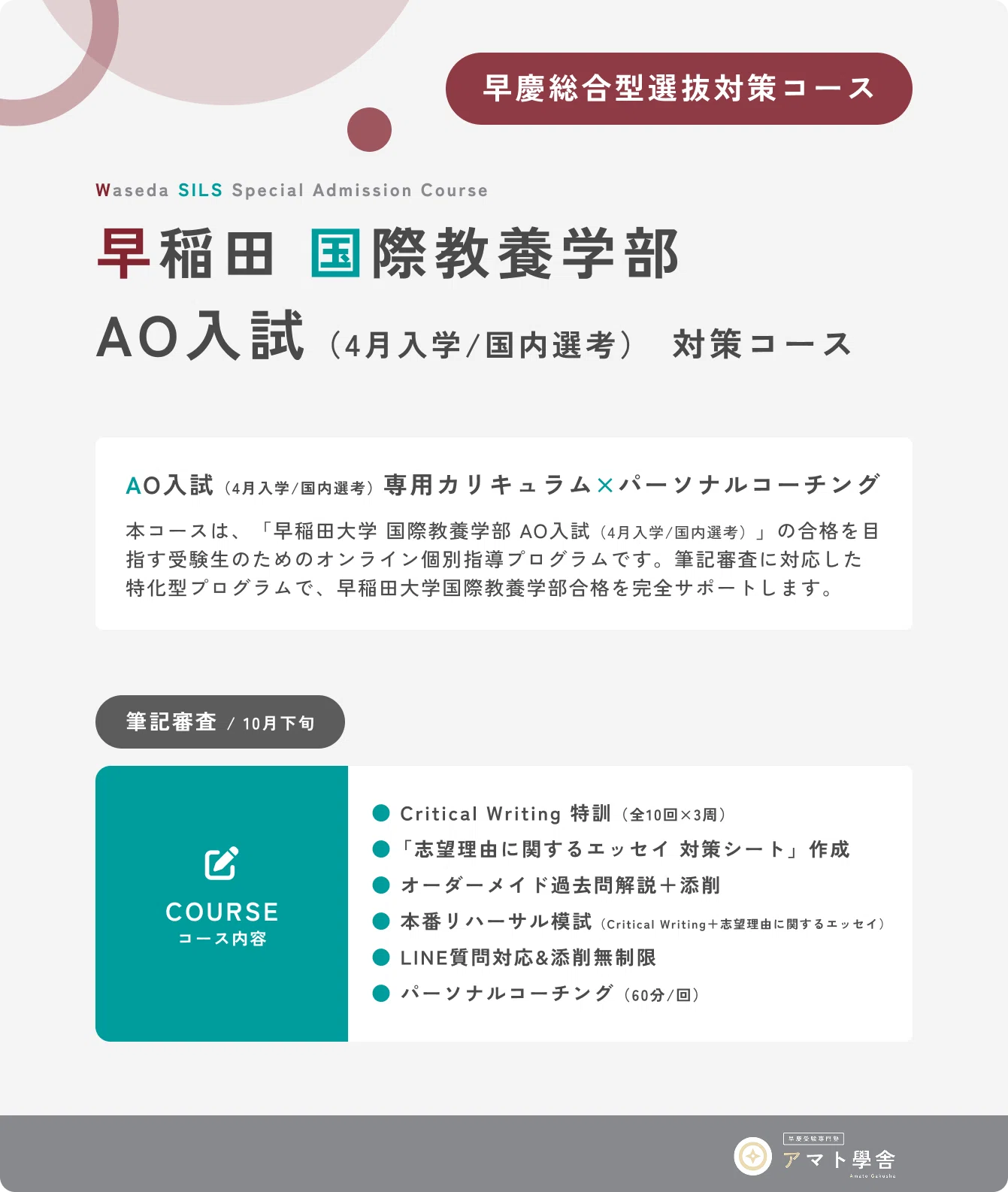 早稲田 国際教養AO 補助問 コンプリートセット2025 過去問 早稲田大学 国際教養学部 AO入試（4月/国内選考） 対策コース】のご
