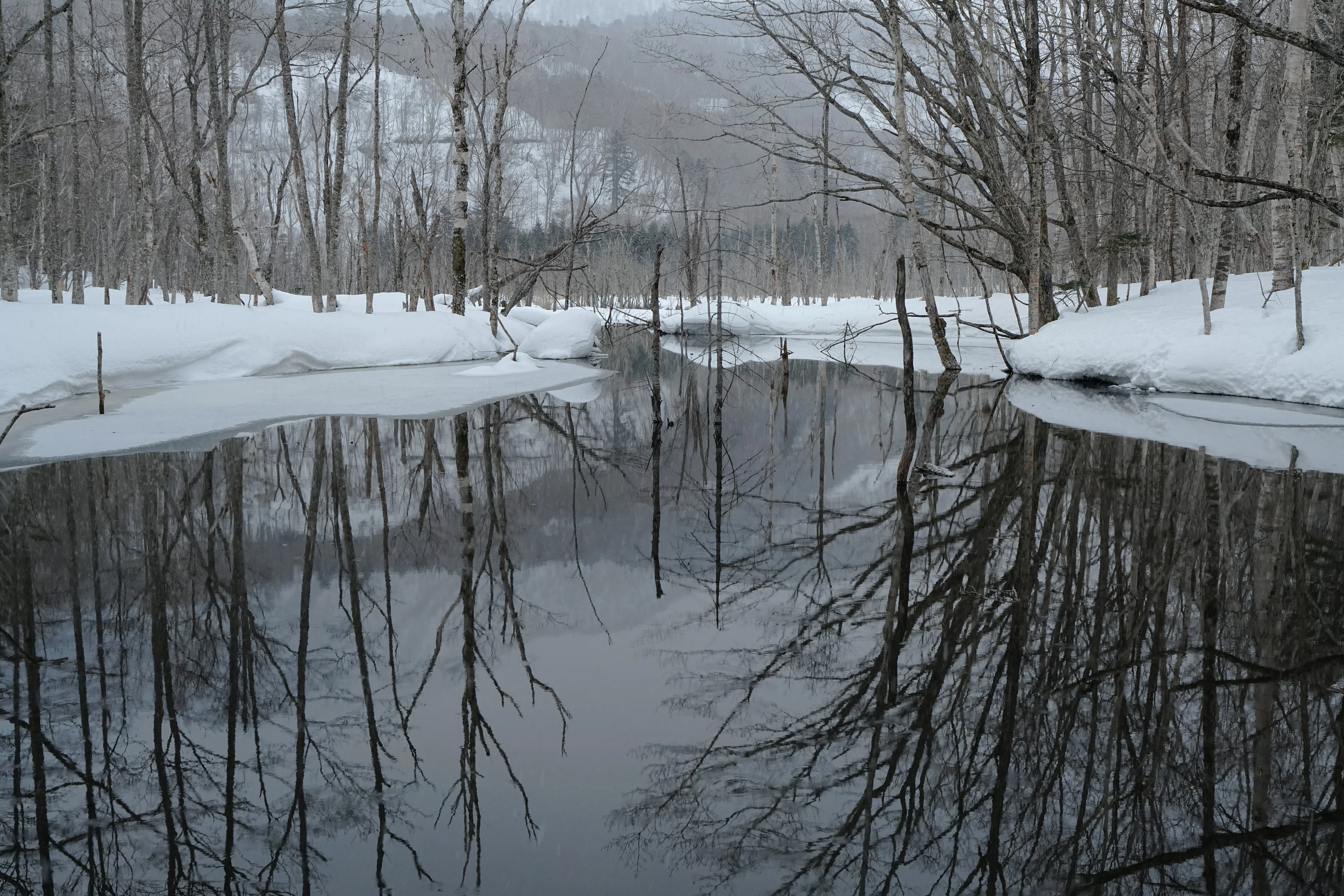 春を感じる雪景色｜風景写真 四季の山旅