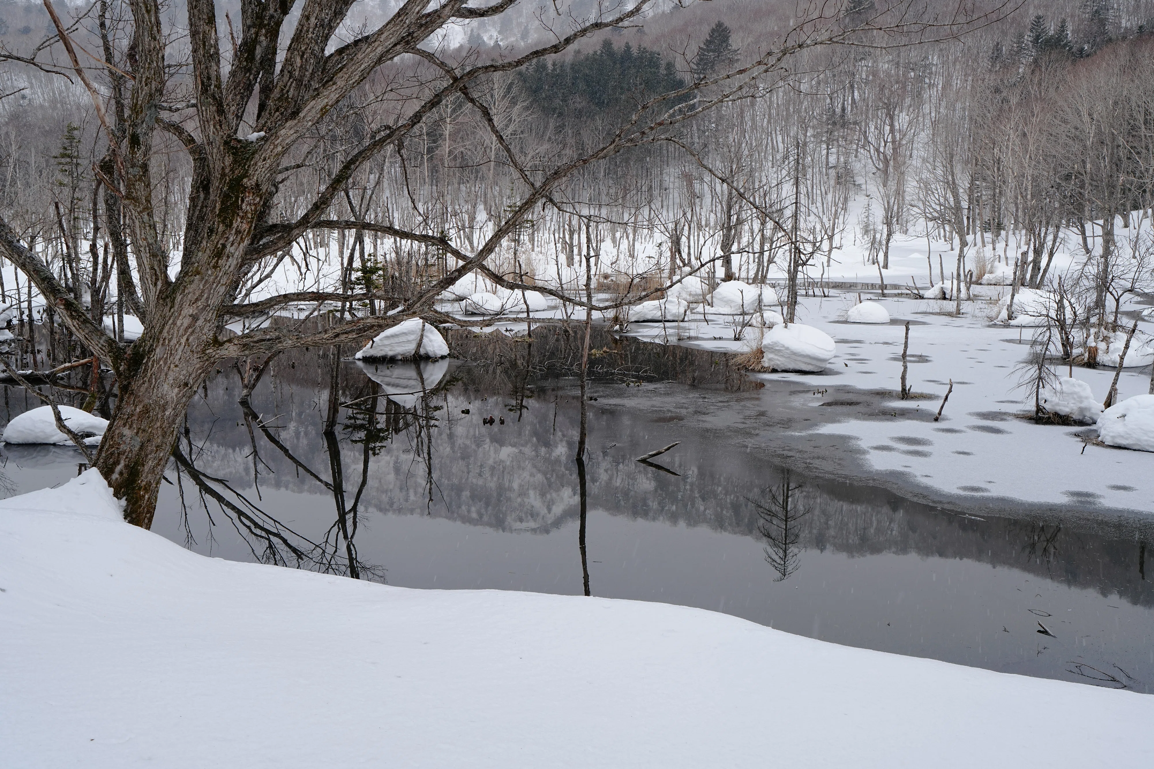 春を感じる雪景色｜風景写真 四季の山旅