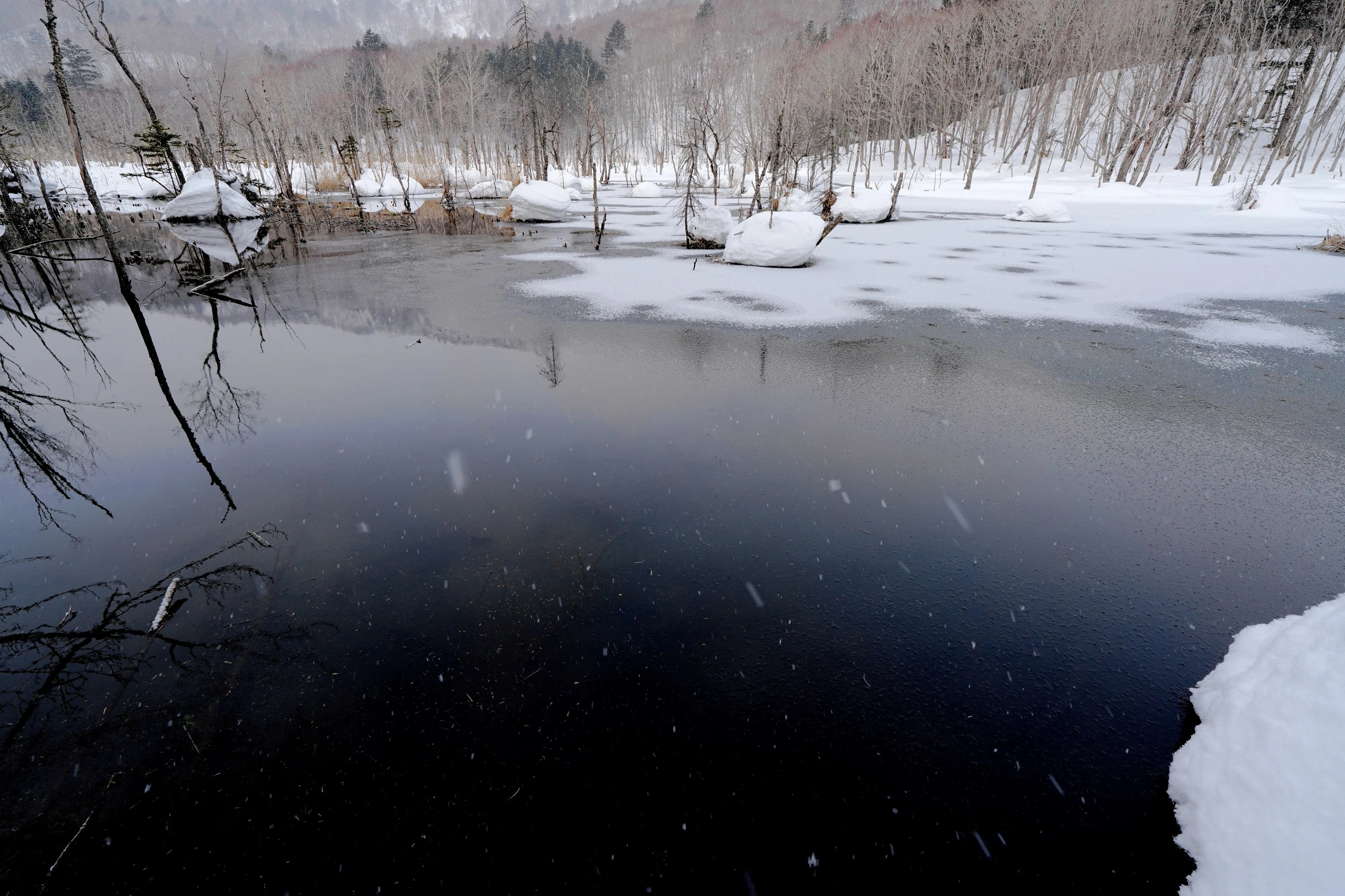 春を感じる雪景色｜風景写真 四季の山旅