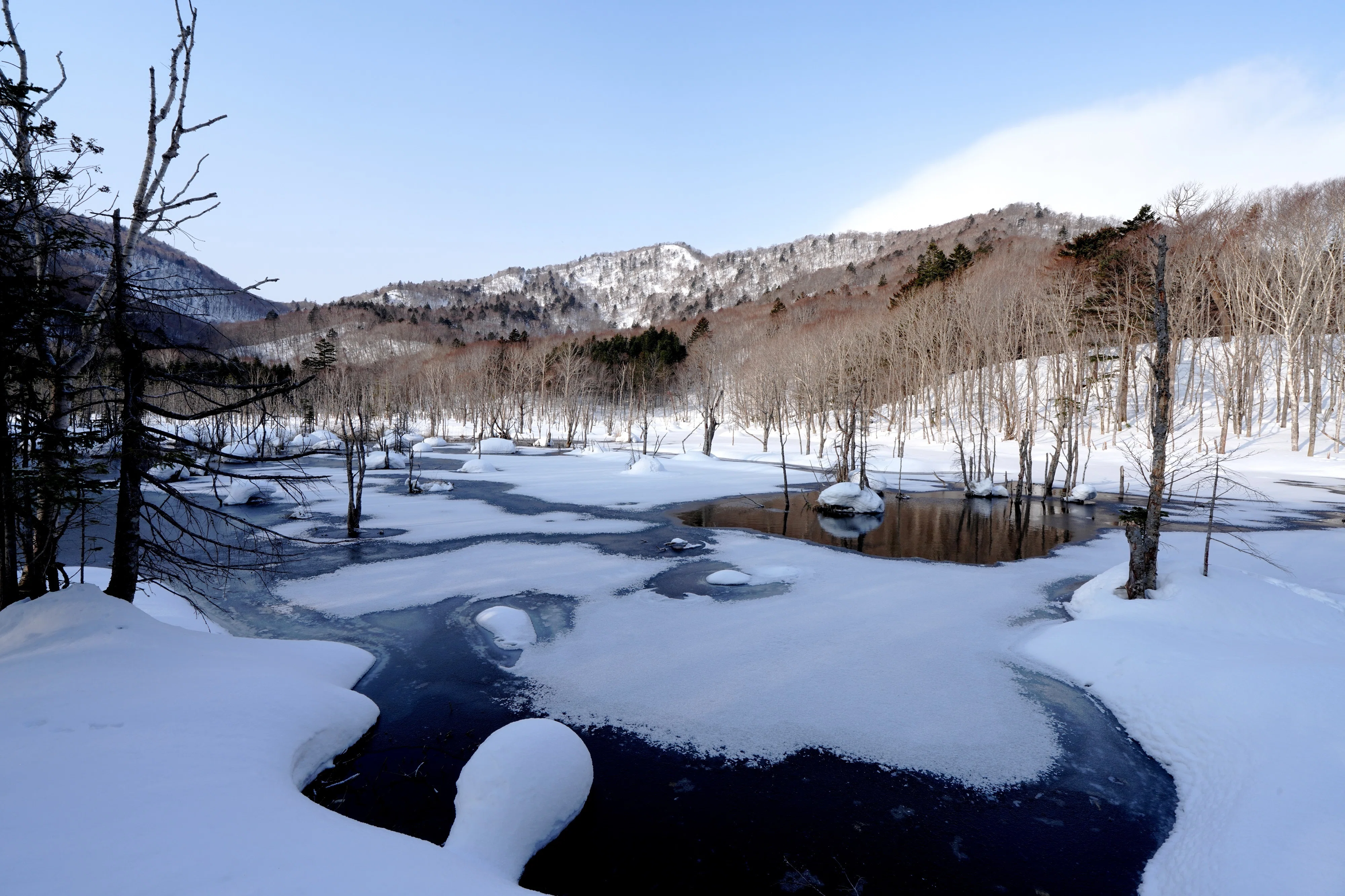 春を感じる雪景色｜風景写真 四季の山旅