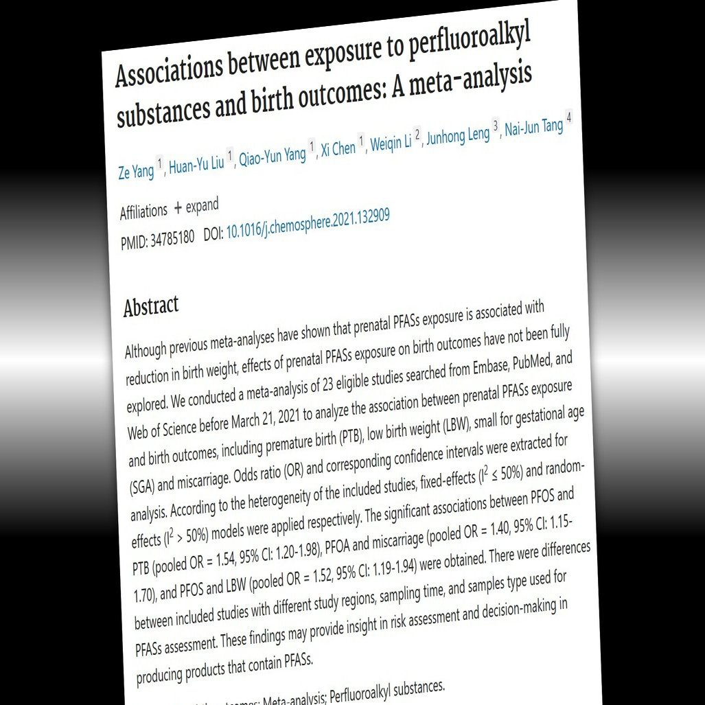 スクープ続報】出生体重の低下、世界的に評価が定まり、否定する論文もないのに非公開の会合で採用せず／PFAS論文差し替え疑惑⑤｜SlowNews |  スローニュース