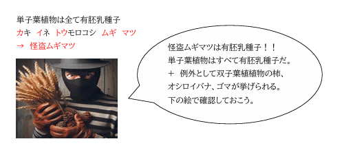 中学受験 実際に効果のあった理科語呂合わせプリント｜honoka