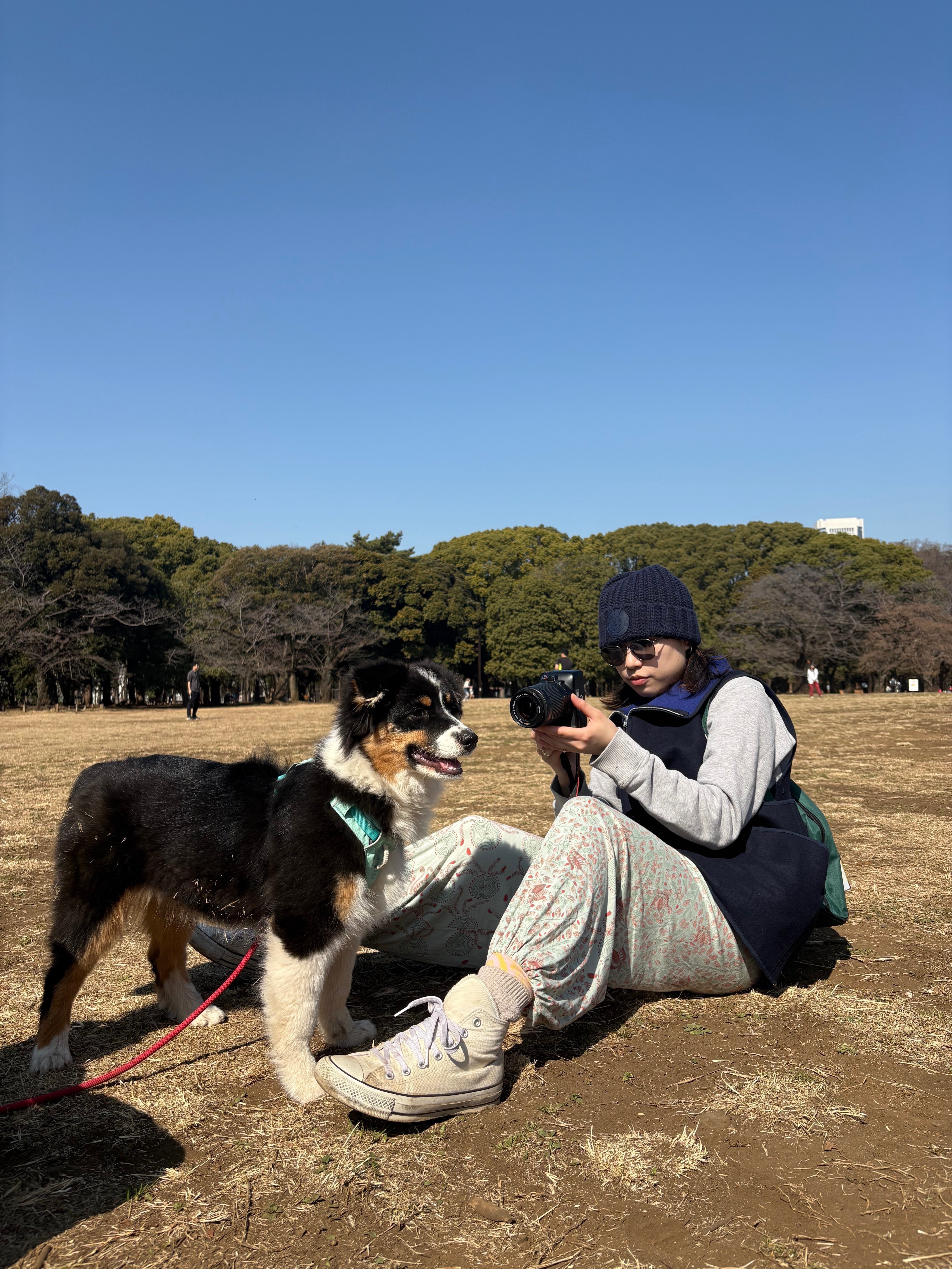 ホァナデアルコ アラジンパンツ ミネグラ ニャンドゥティ&ありと