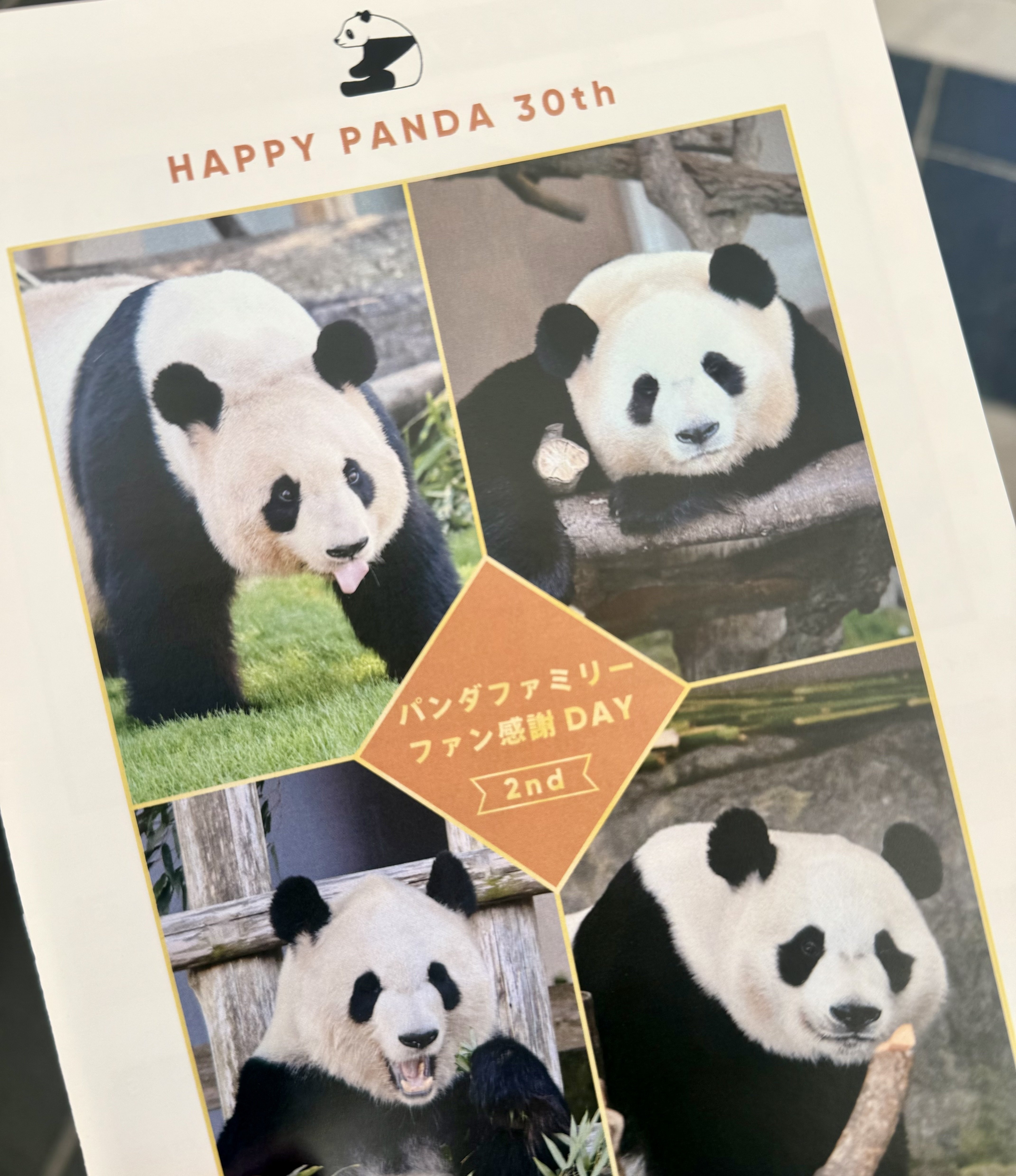 パンダファミリーファン感謝DAY 2nd 参加して来ました｜柚子