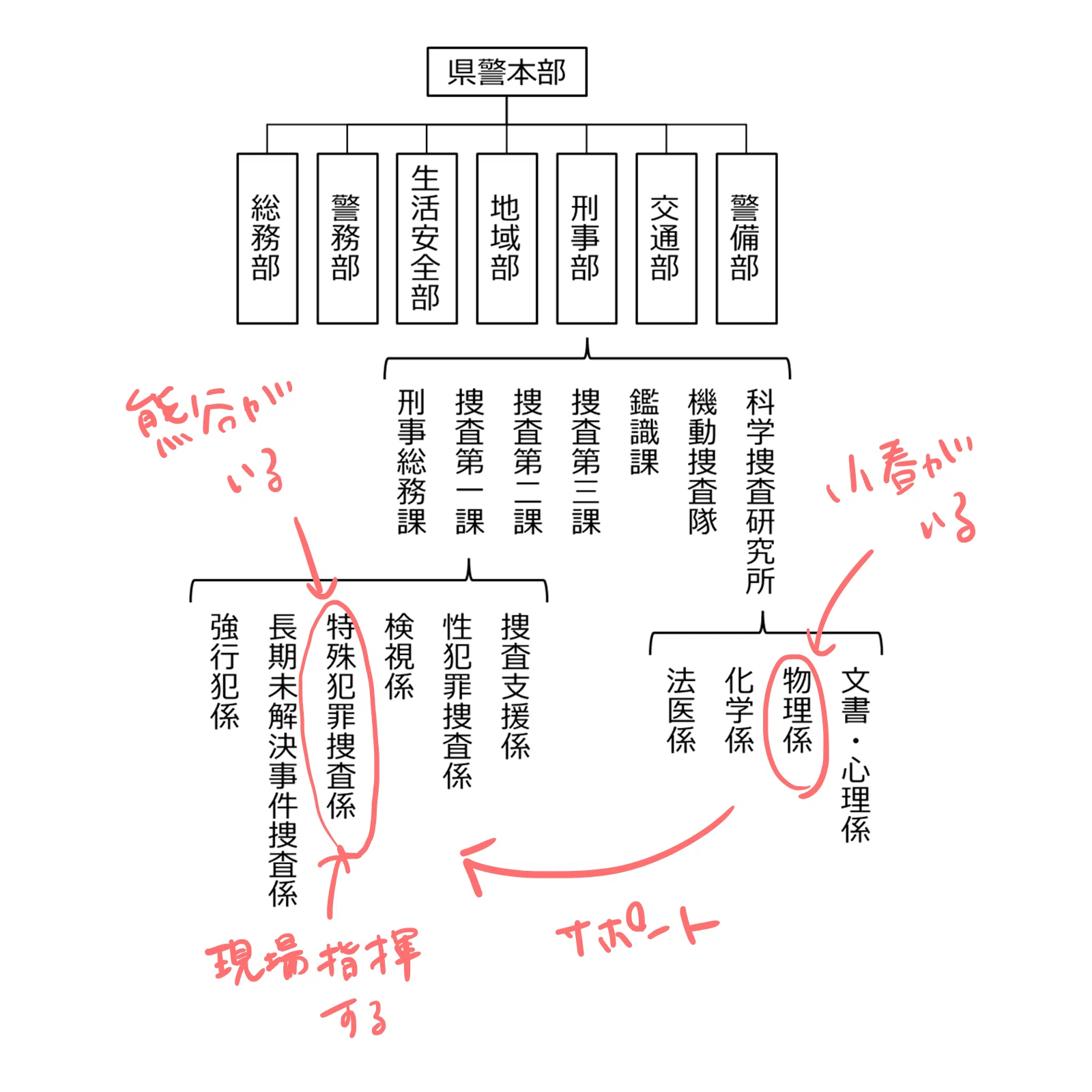 科警研 と 科捜研 の 違い