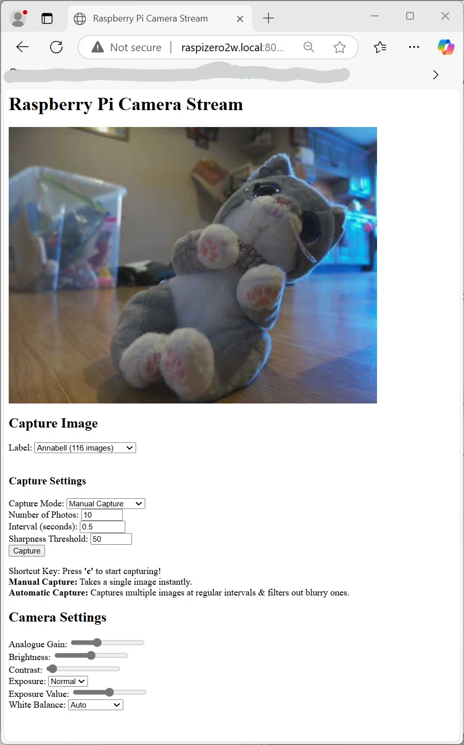 Building a Plushie Recognition Device with Raspberry Pi Zero 2 W and AI ...
