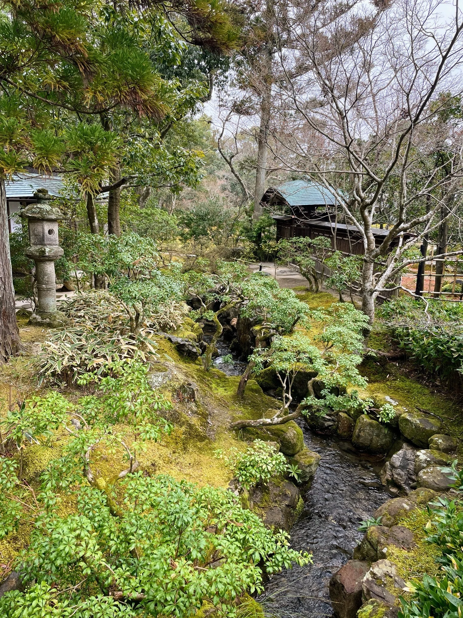 Isuien Garden's Hina Matsuri and a Garden Stroll, Nara｜美術館と