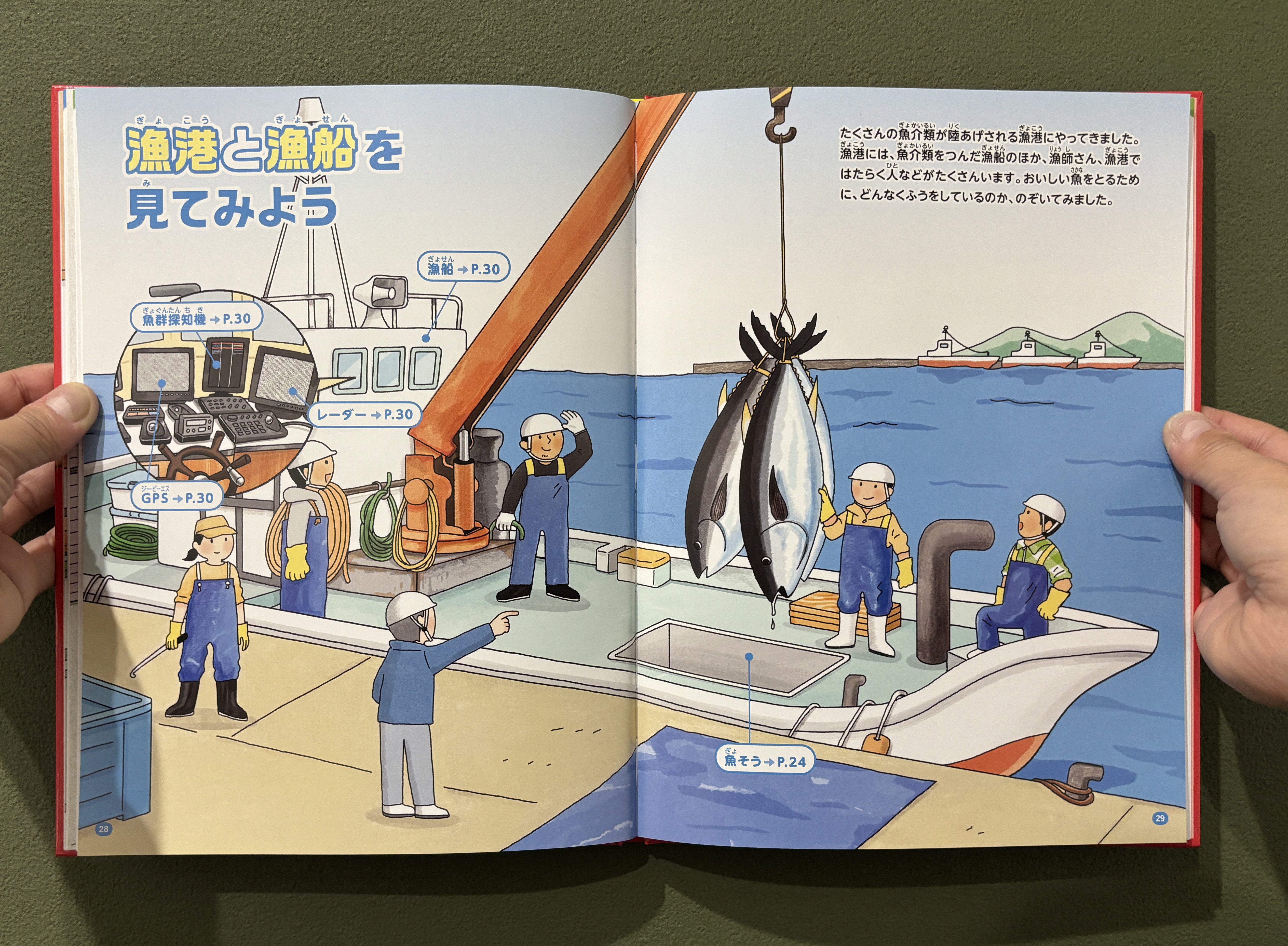 おいしさから学ぶ図鑑 全3巻」イラストを担当しました。｜てらいまき