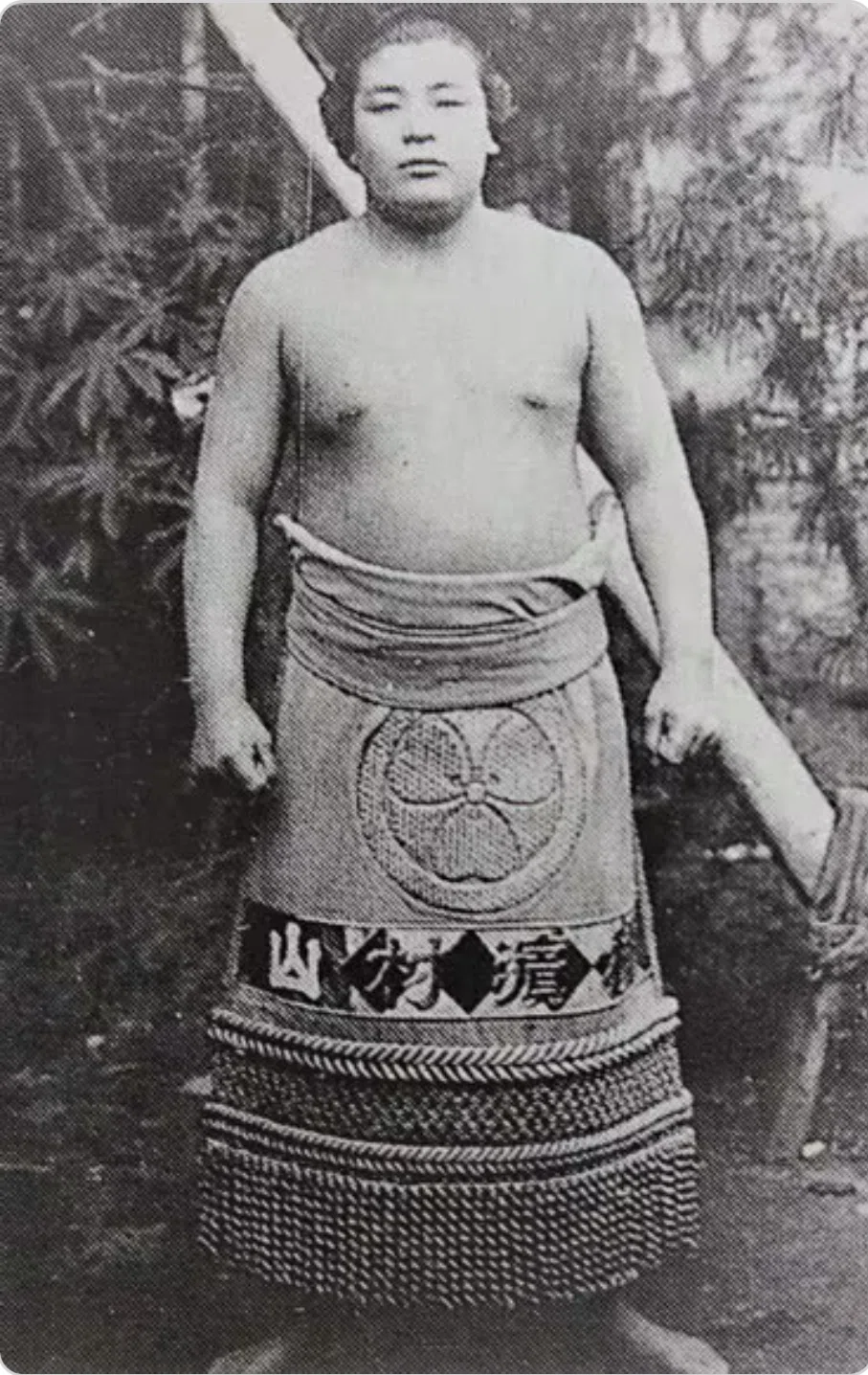 力士の「しこ名」っていったい何なの?|こうさく