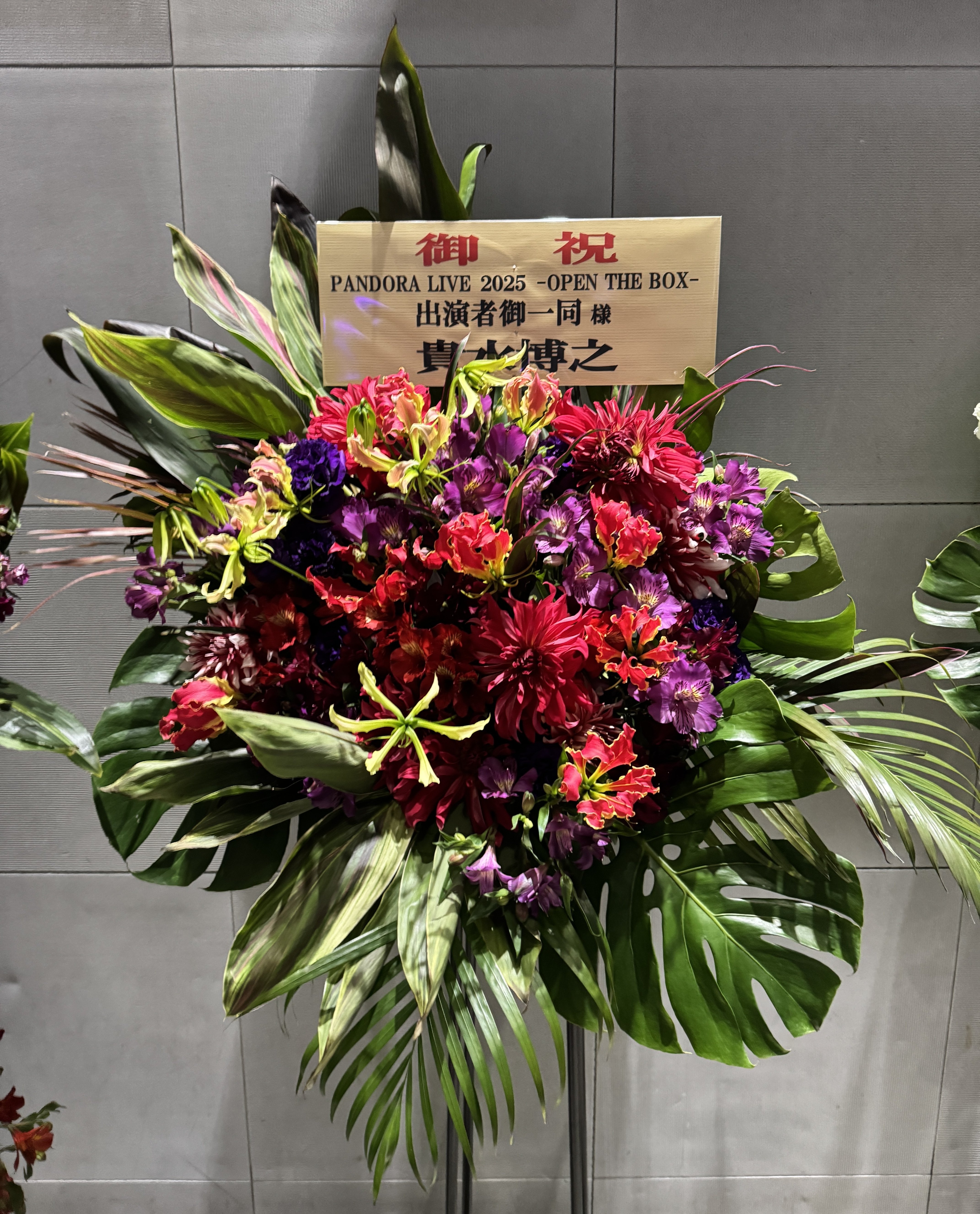 PANDORA LIVE 2025-OPEN THE BOX-｜しほう