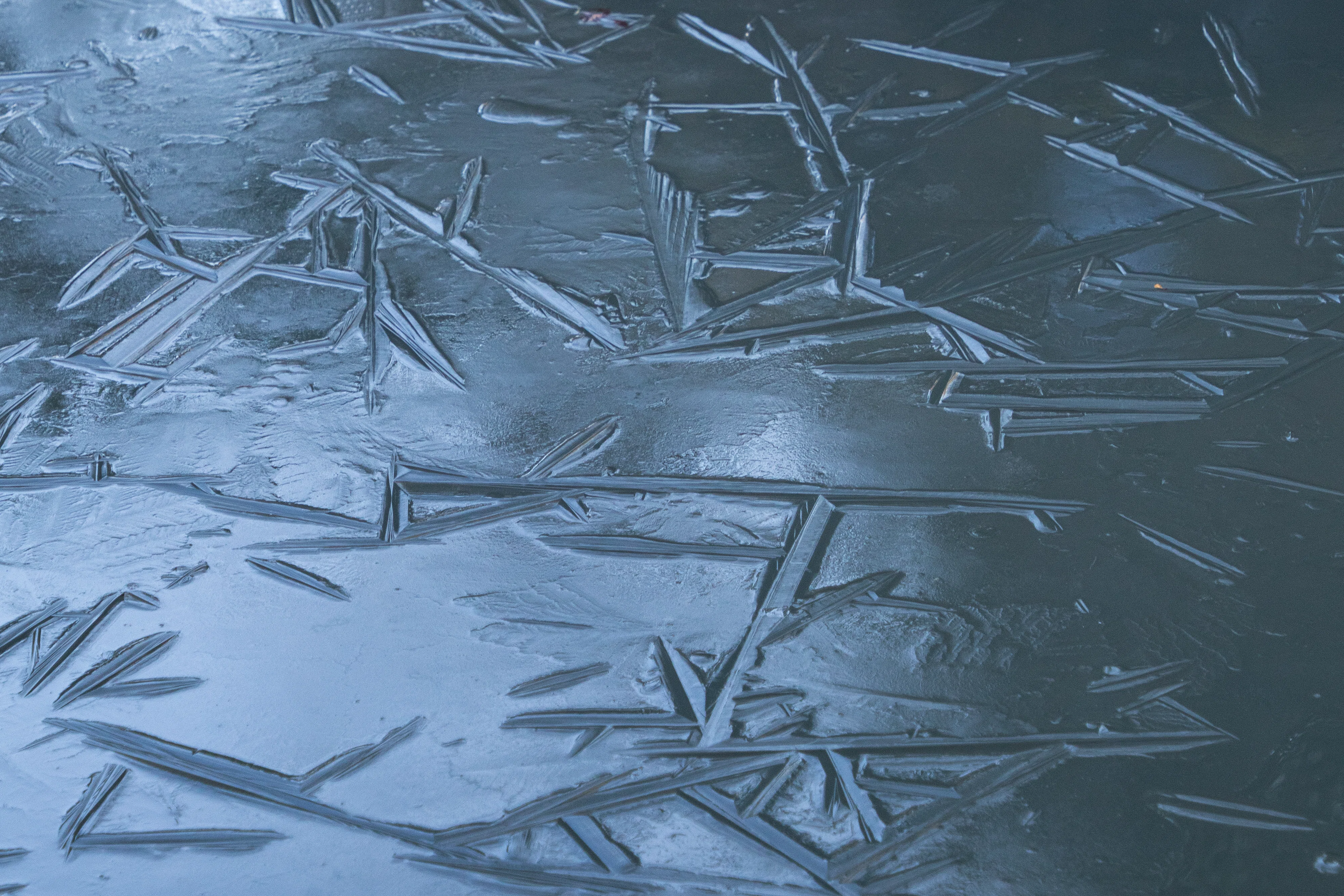 Seasonal Vessel Journal ① - Patterns of Vessels Floating on Pond Ice｜源右衛門窯