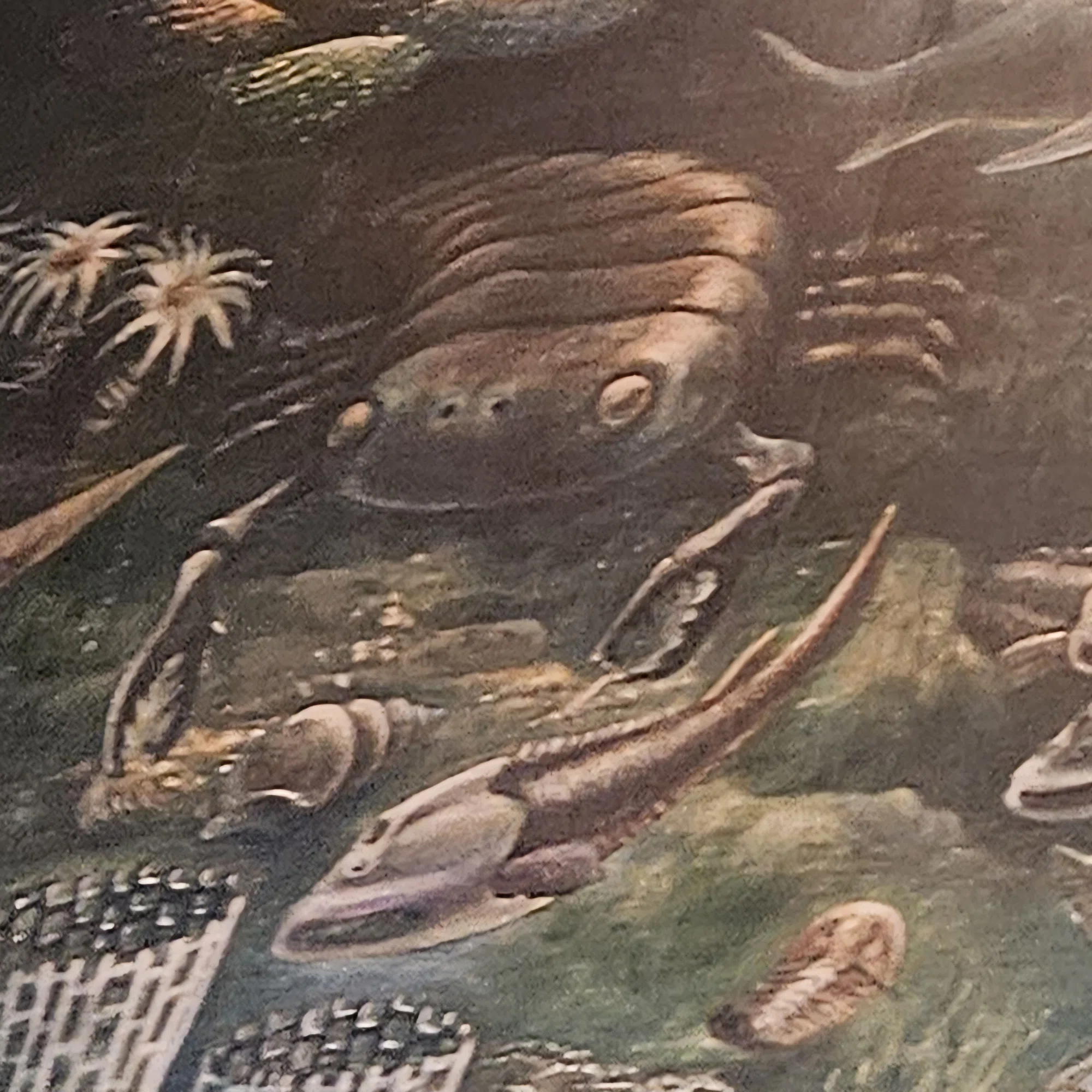 The Lost Universe 古代の巨大海洋節足動物③巨大三葉虫｜美原さつき
