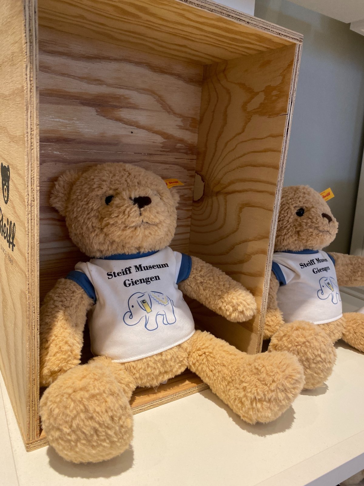 1/2サイズ/テディベアモヘア/Steiff-Schulte （テディベアモヘア  