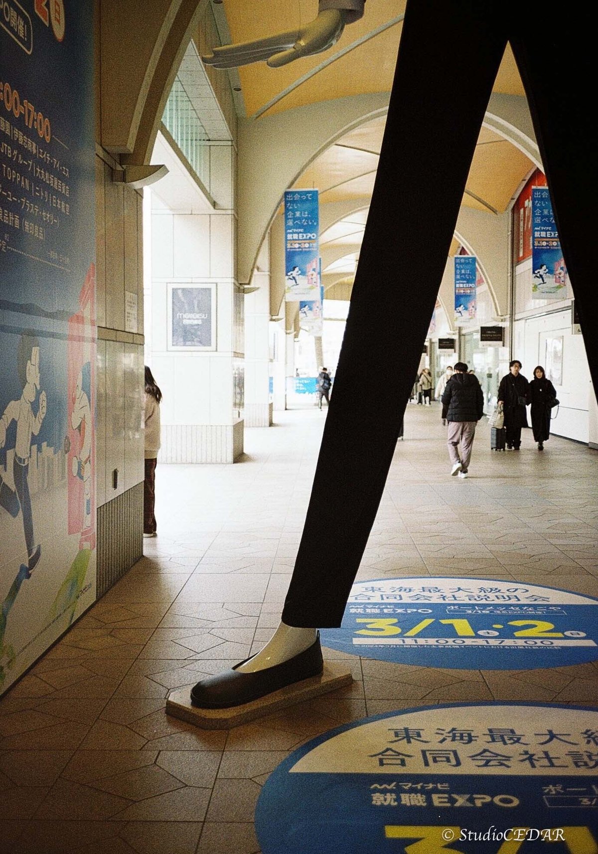 ボクのRollei 35AFと写真たち｜すぎっち 