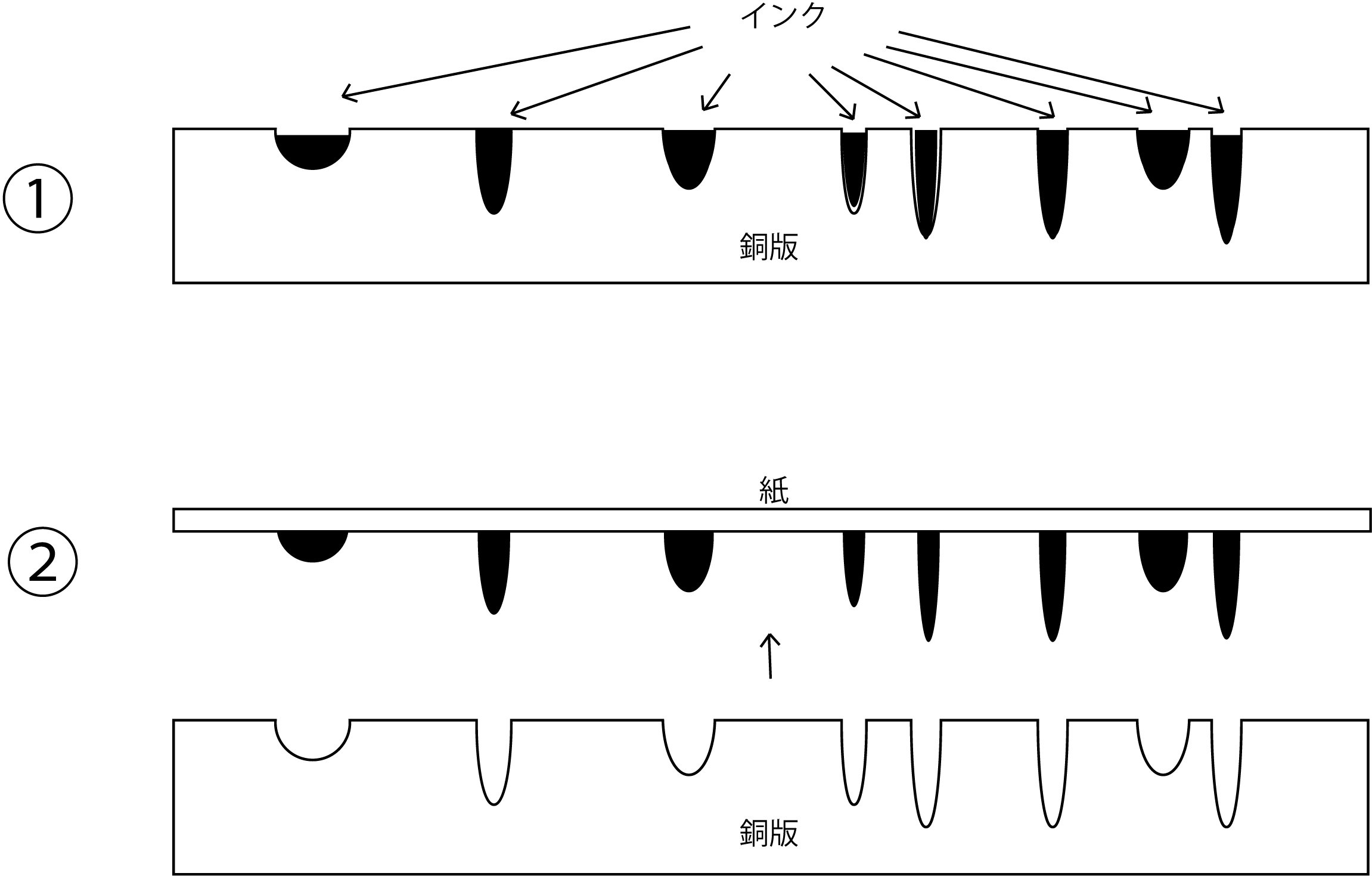 銅版画とは？｜小野澤 久美