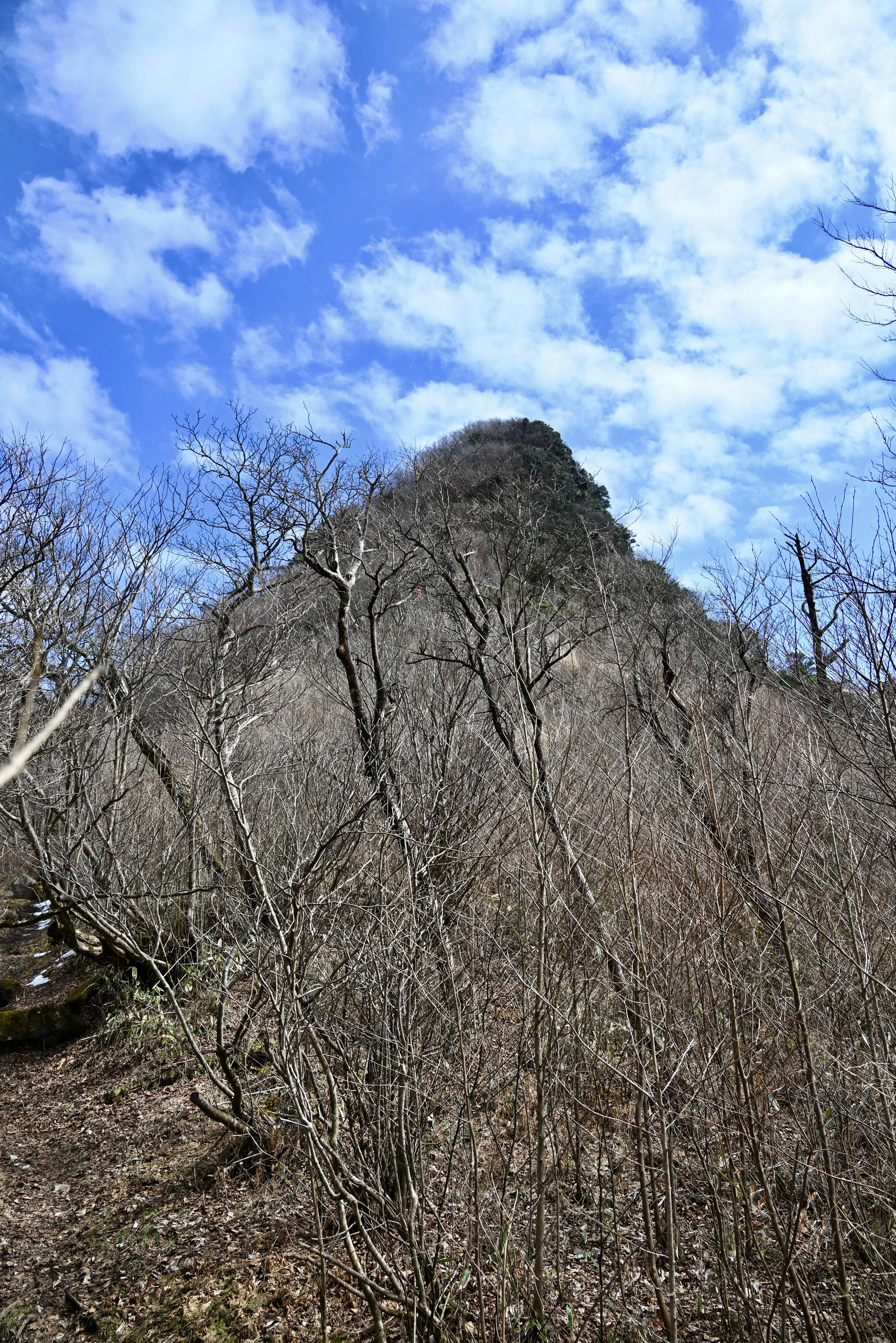 福岡県最高峰：御前岳〜釈迦岳｜Yoshi
