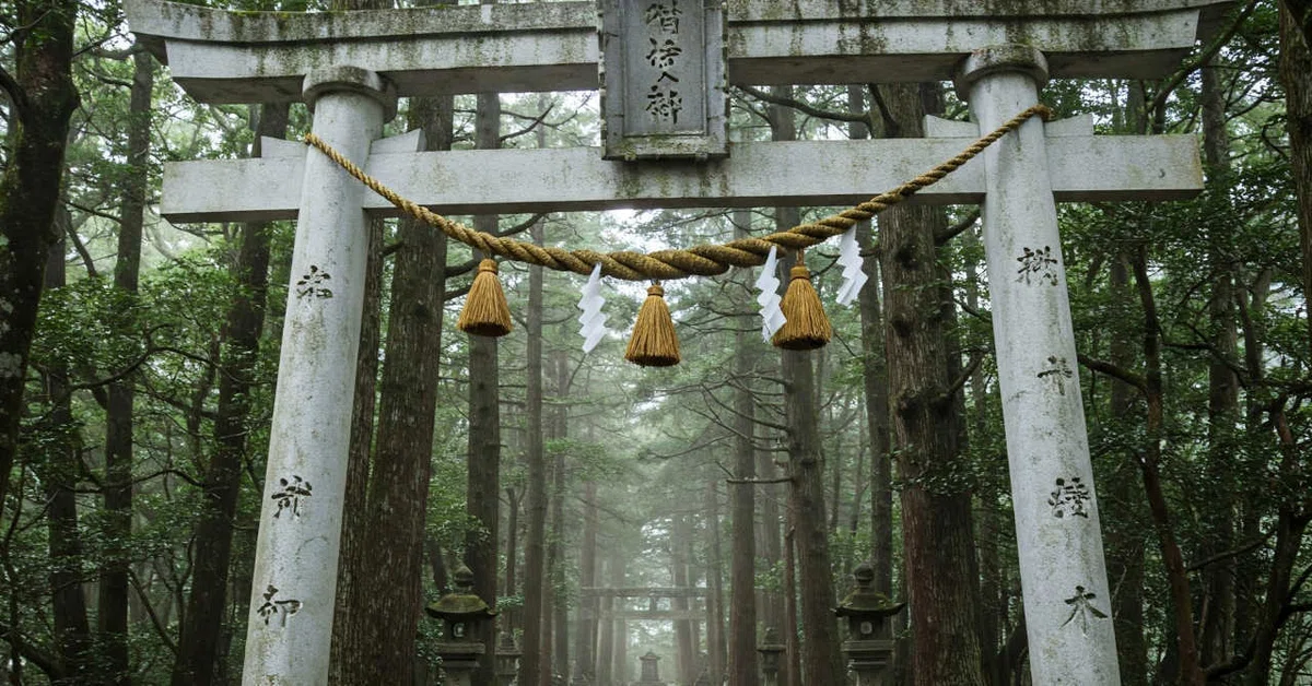 月代宮(イメージ)
