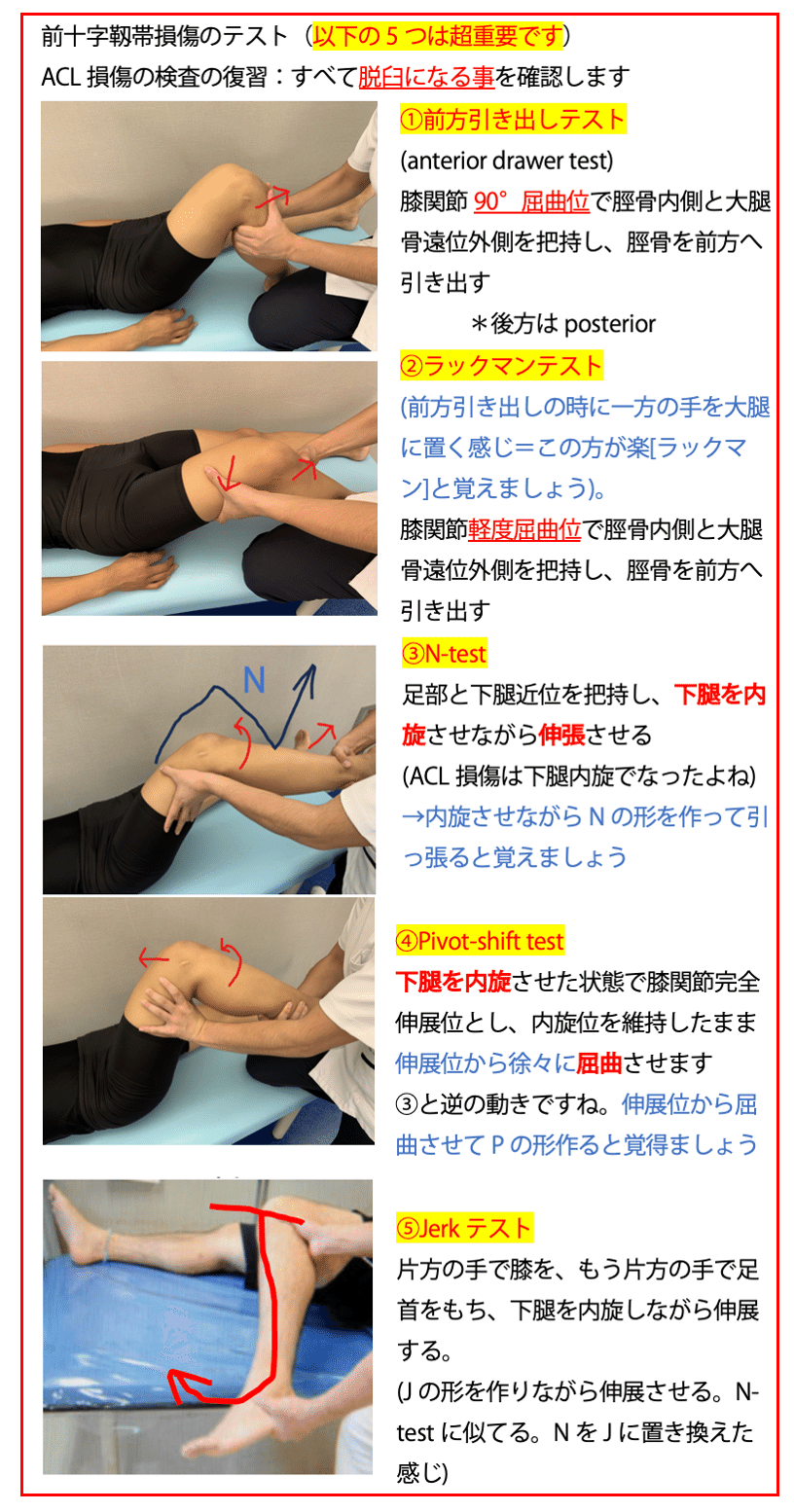 理学療法マネジメント（5種:脊柱、肩、股、膝、足） 理学療法