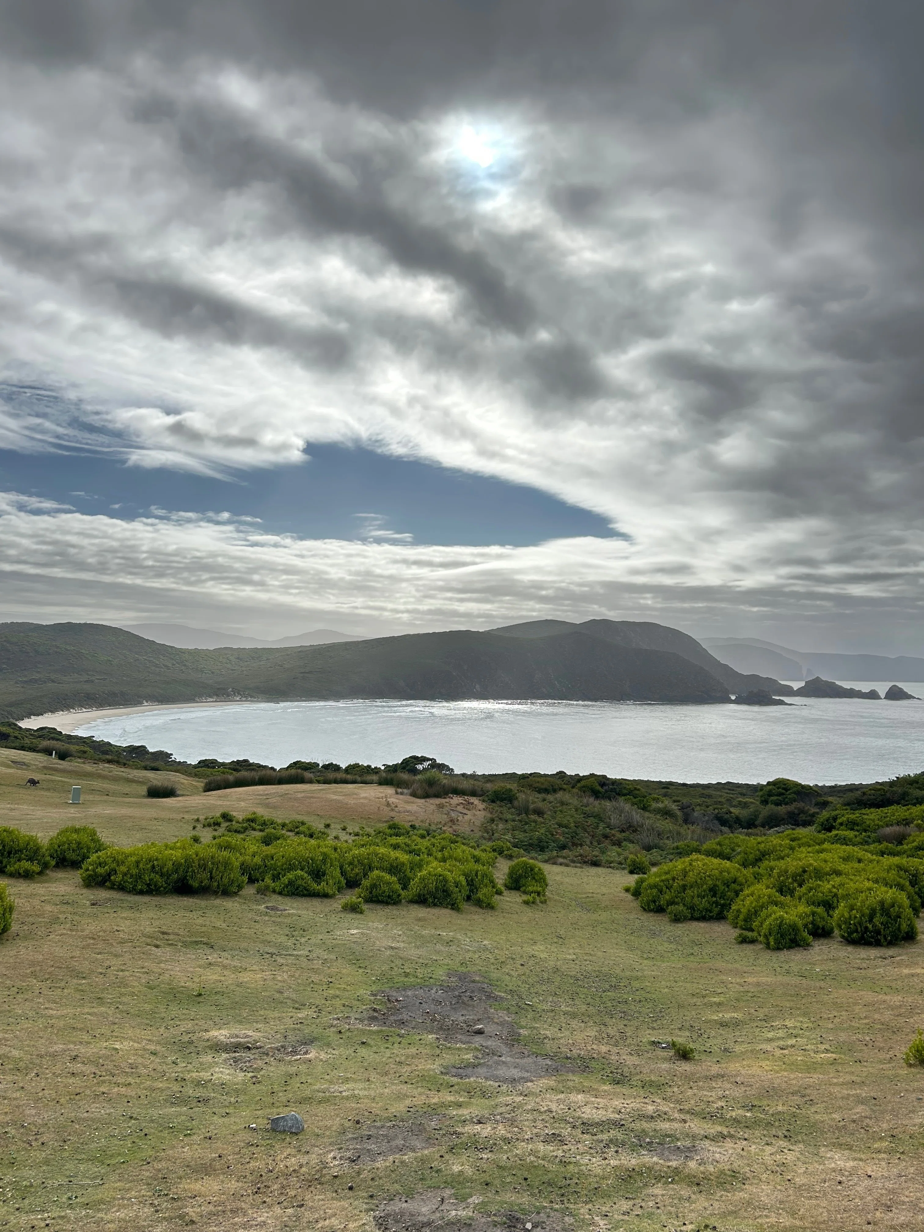 タスマニア】ロードトリップ 4泊5日 Bruney Island, Mt Wellington