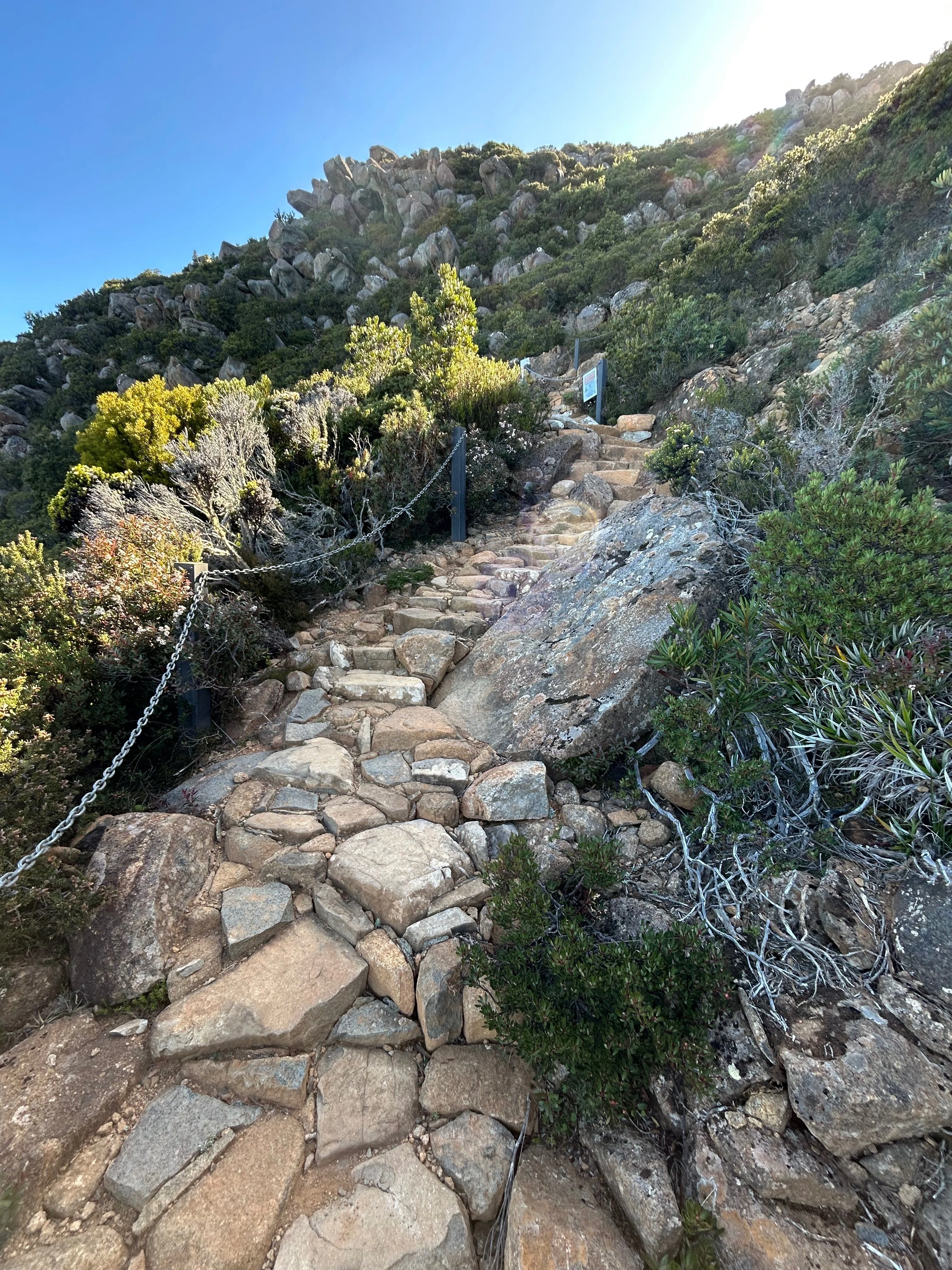 タスマニア】ロードトリップ 4泊5日 Bruney Island, Mt Wellington