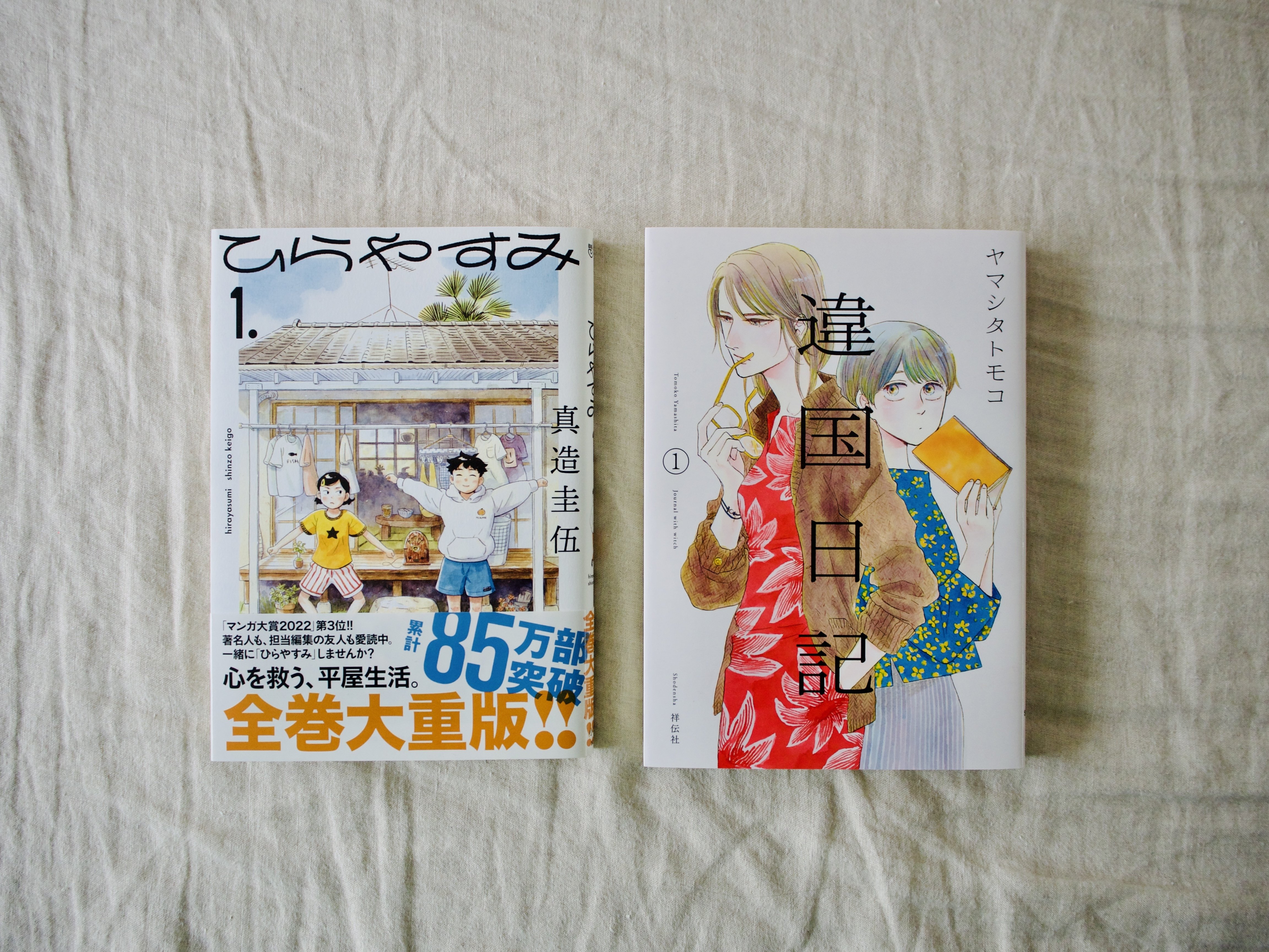 読書がしたい⑤約1万円でわたしが選んだ10冊｜merryの作文