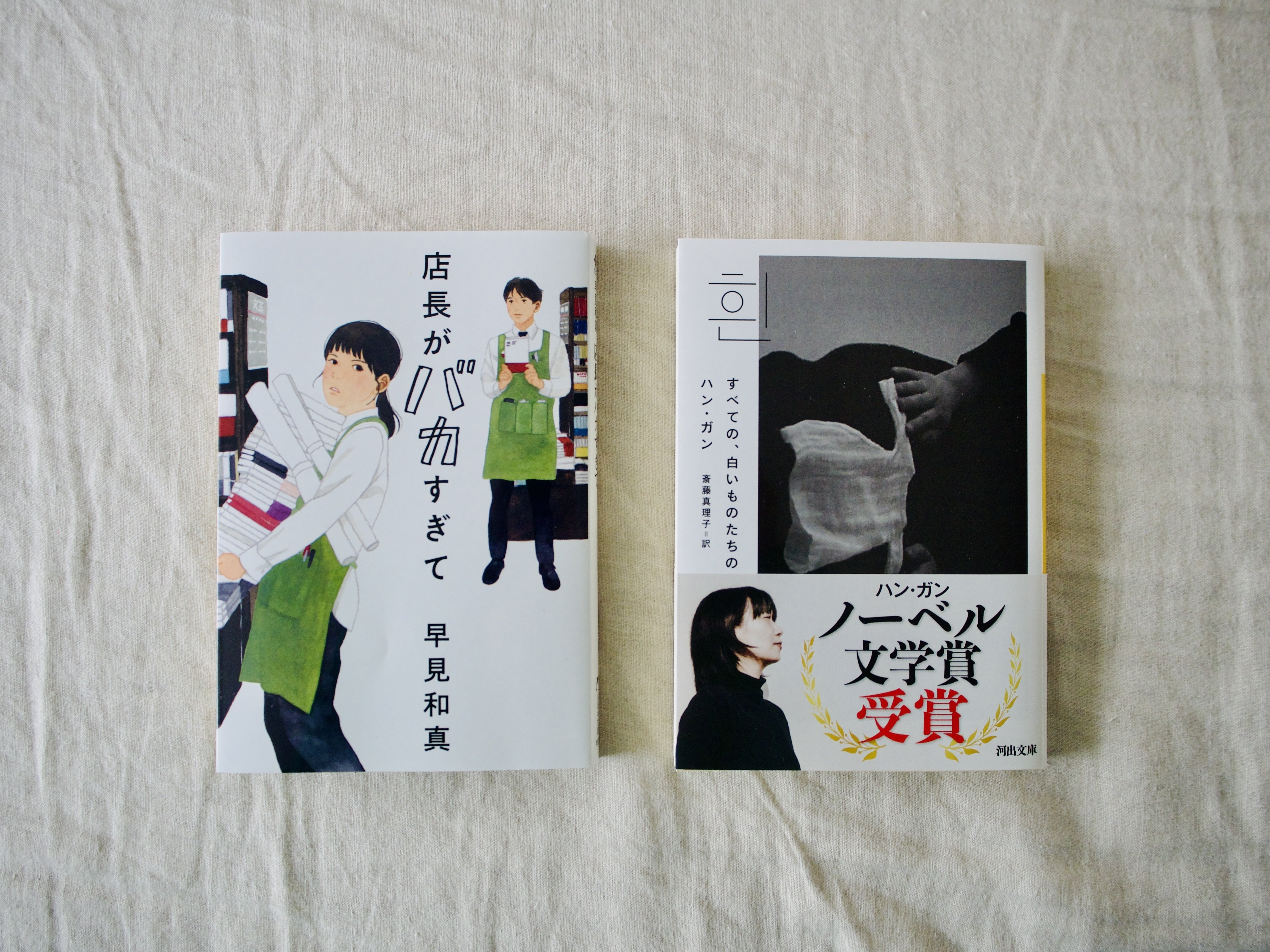 読書がしたい⑤約1万円でわたしが選んだ10冊｜merryの作文