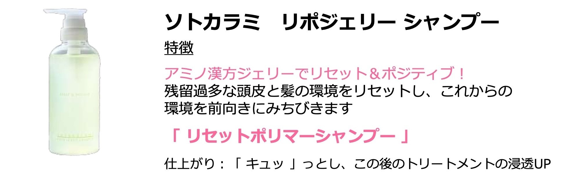 新発想のシャンプー「リポジェリー」——髪と頭皮を本来の美しさへ導く