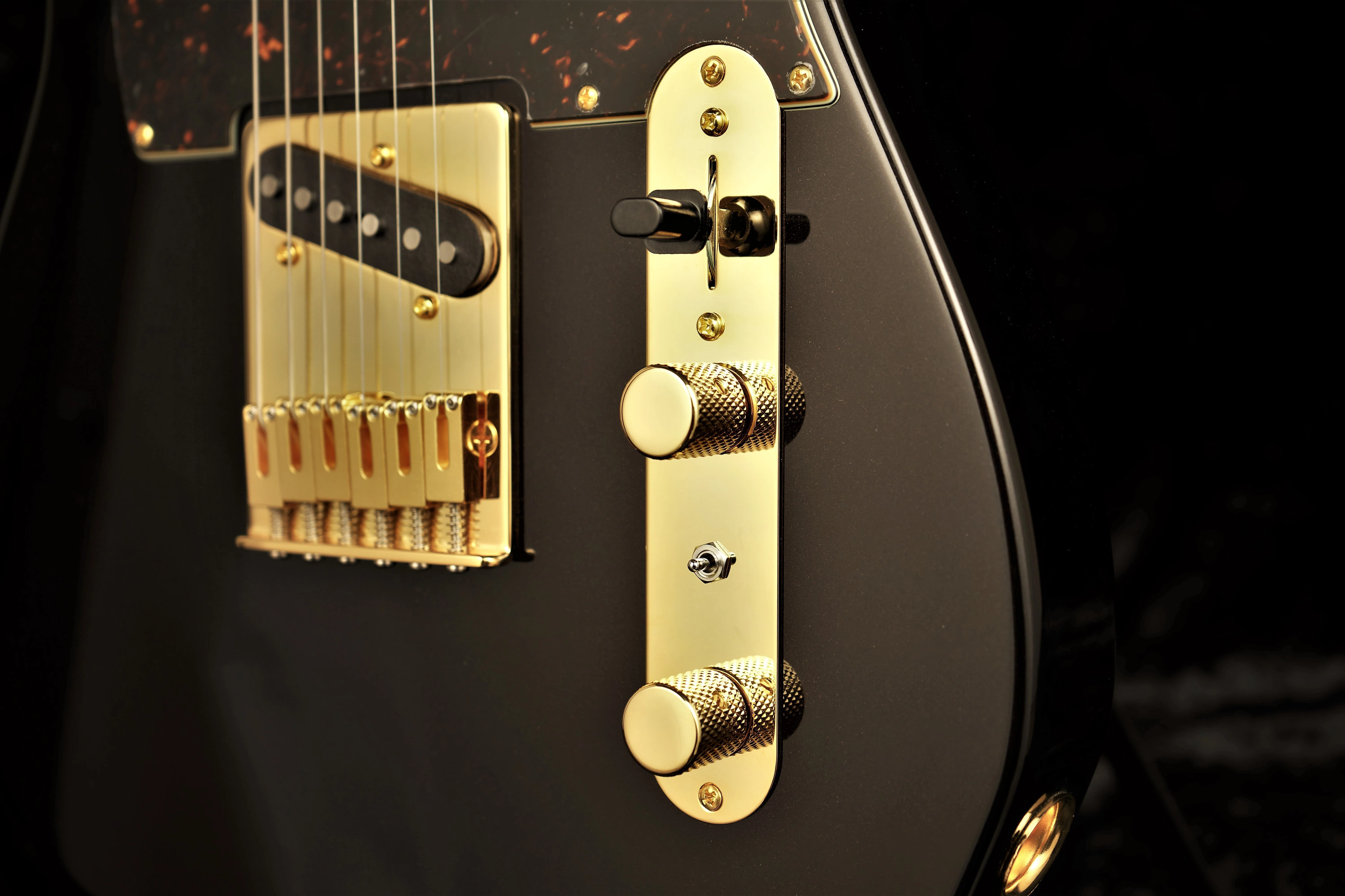 未知なる可能性 “Hybrid Humbucker”｜Freedom Custom Guitar Research
