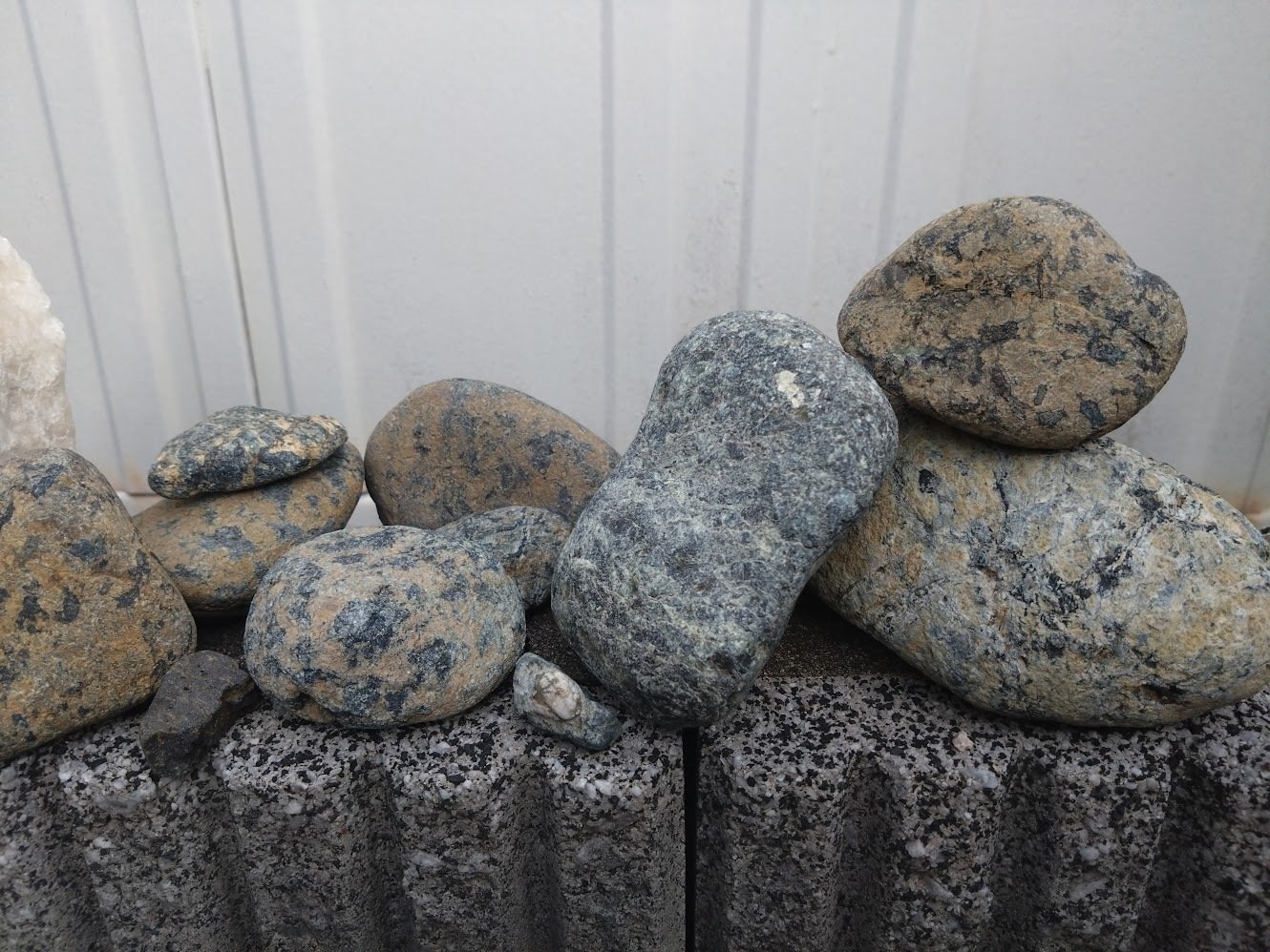 蛇紋岩(じゃもんがん) serpentinite (平取)