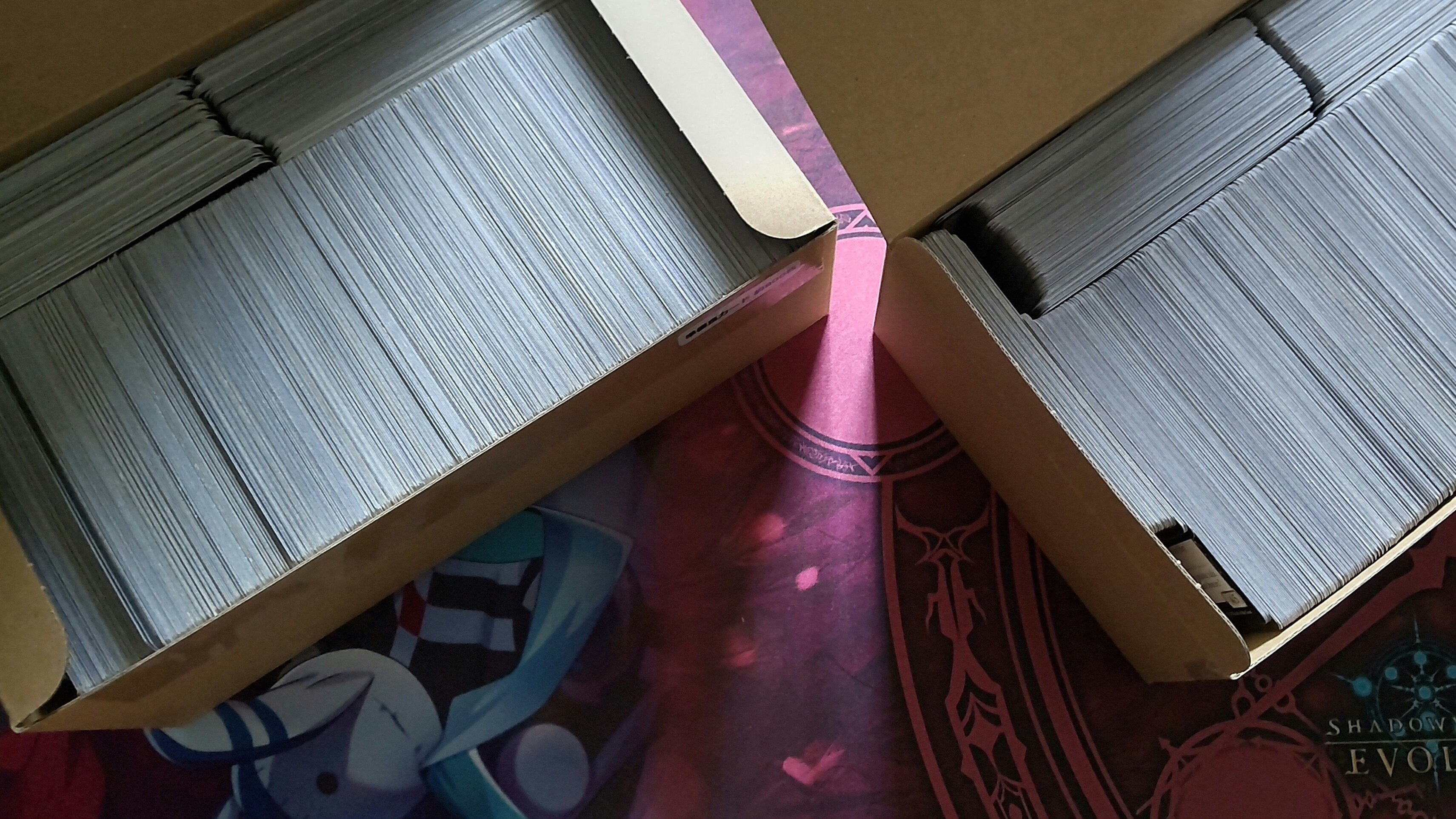 MTG雑記】～晴れる屋の詰め合わせを買ってみる～｜アルパカトークン