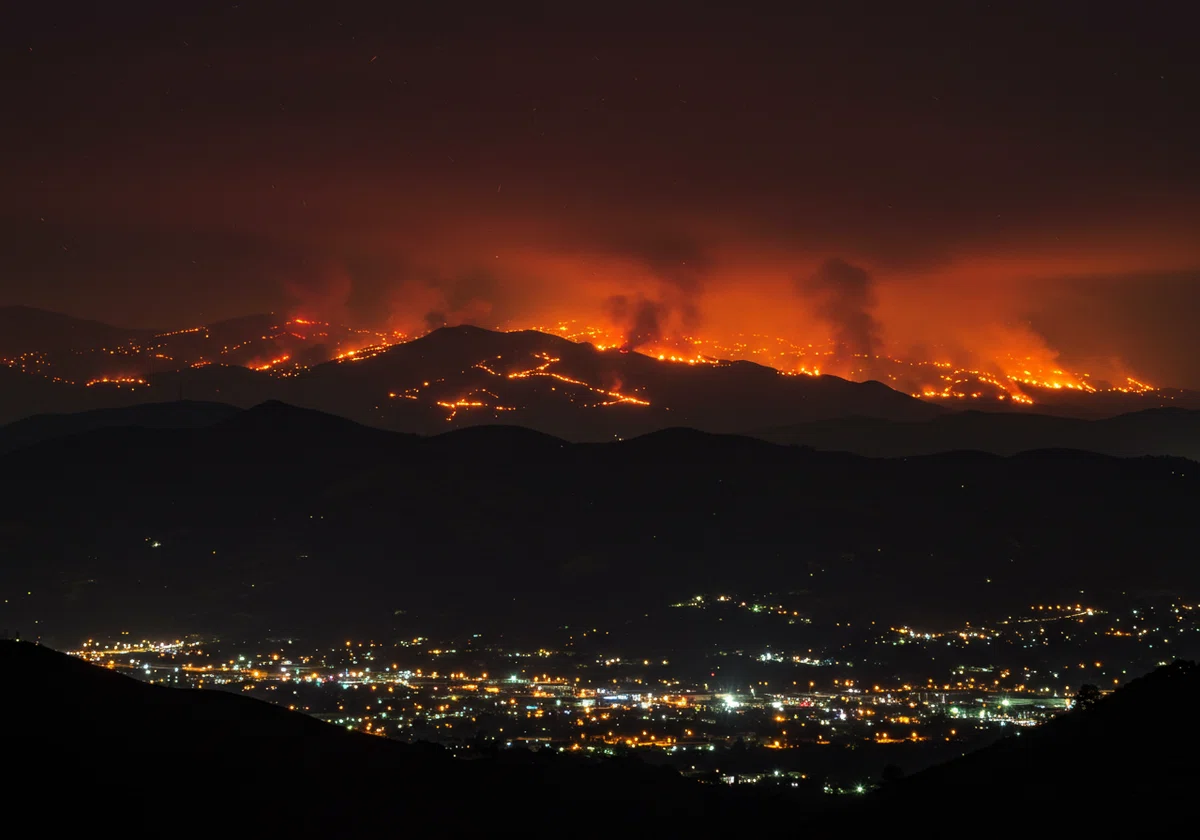 【最新データ】森林火災・山林火災・山火事の原因と対策を解説|環境・経済への影響は?|株式会社このほし
